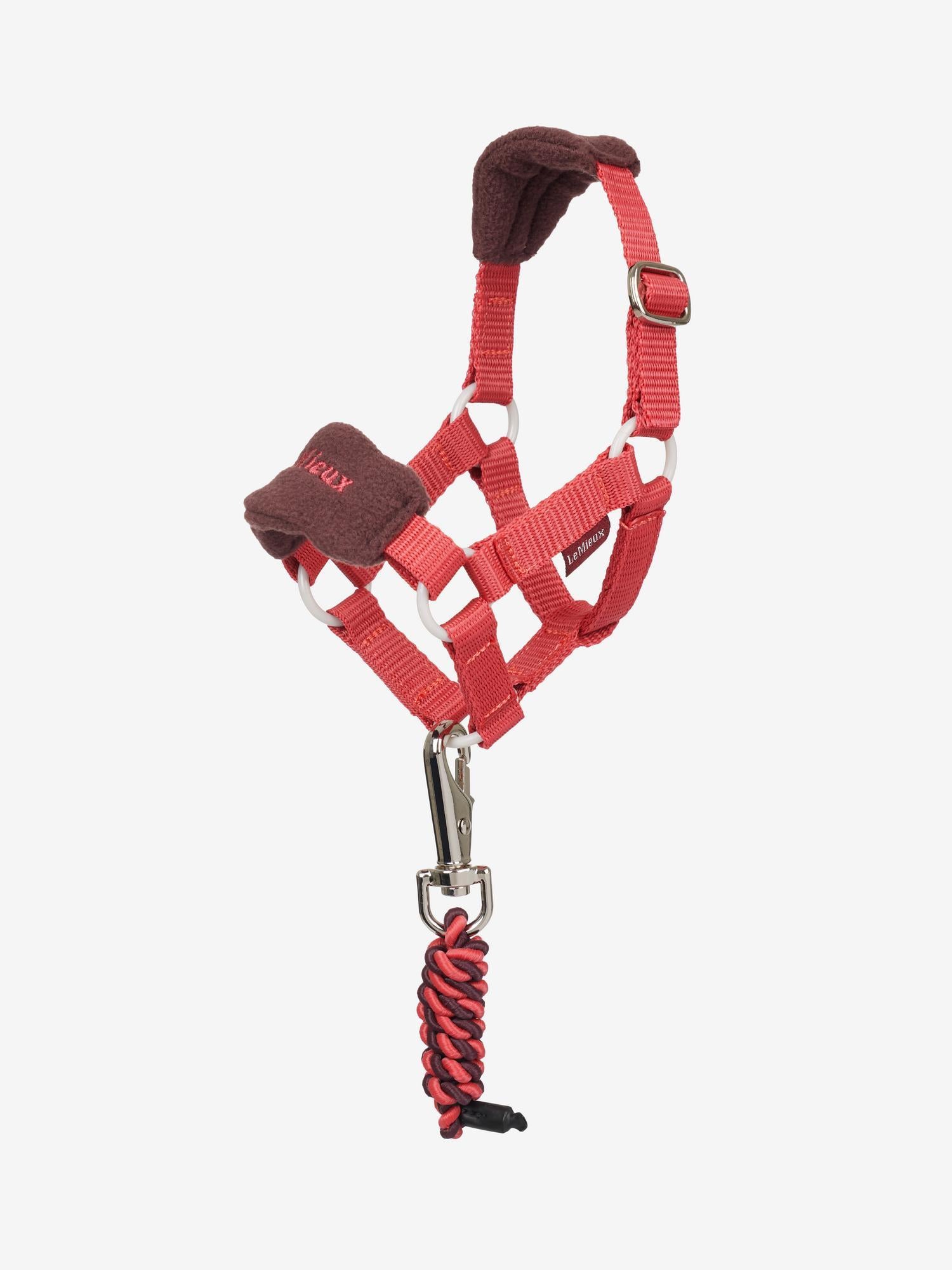 #color_cranberry
