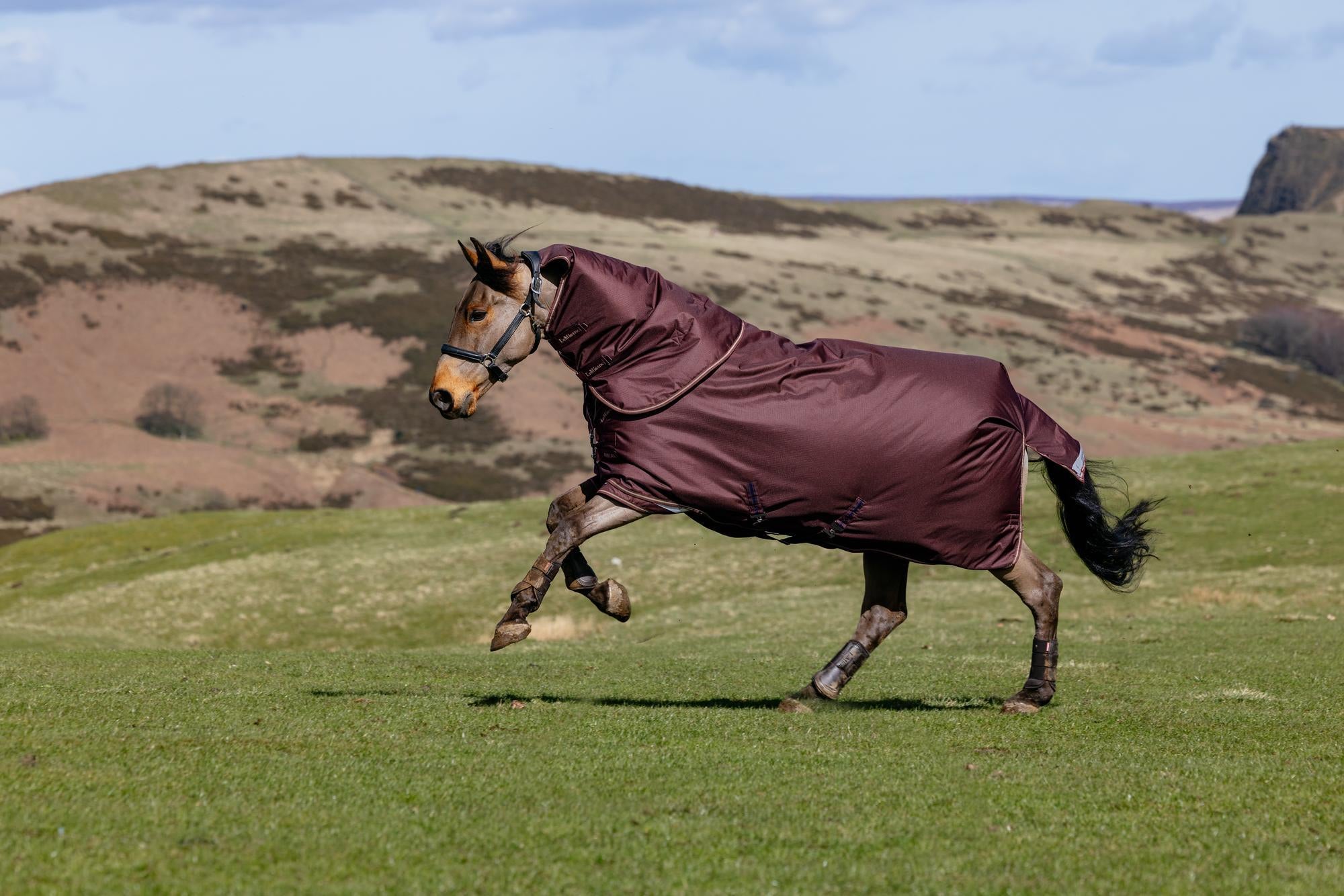 LeMieux Arika Ripstop 0g Turnout Rug