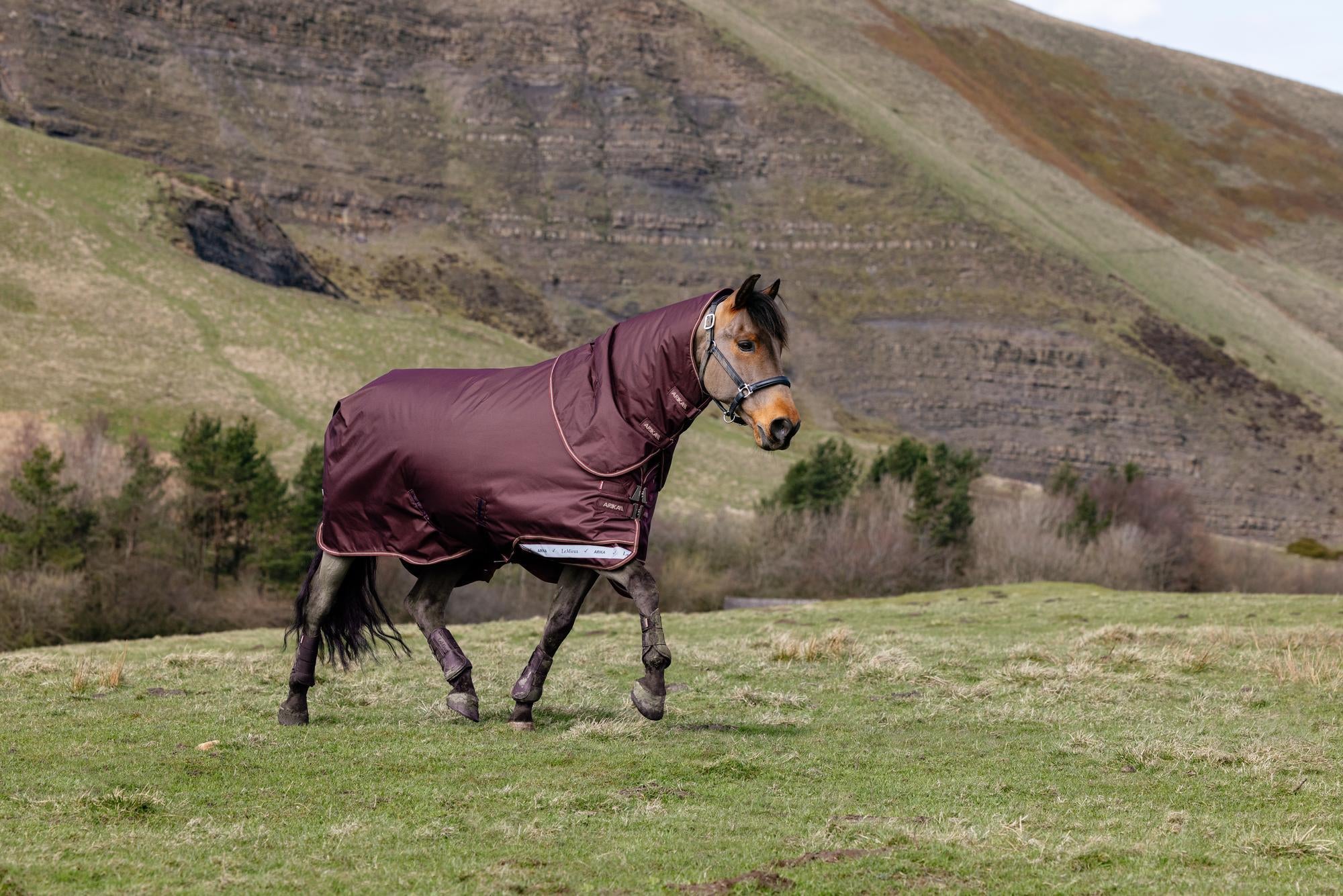 LeMieux Arika Ripstop 0g Turnout Rug