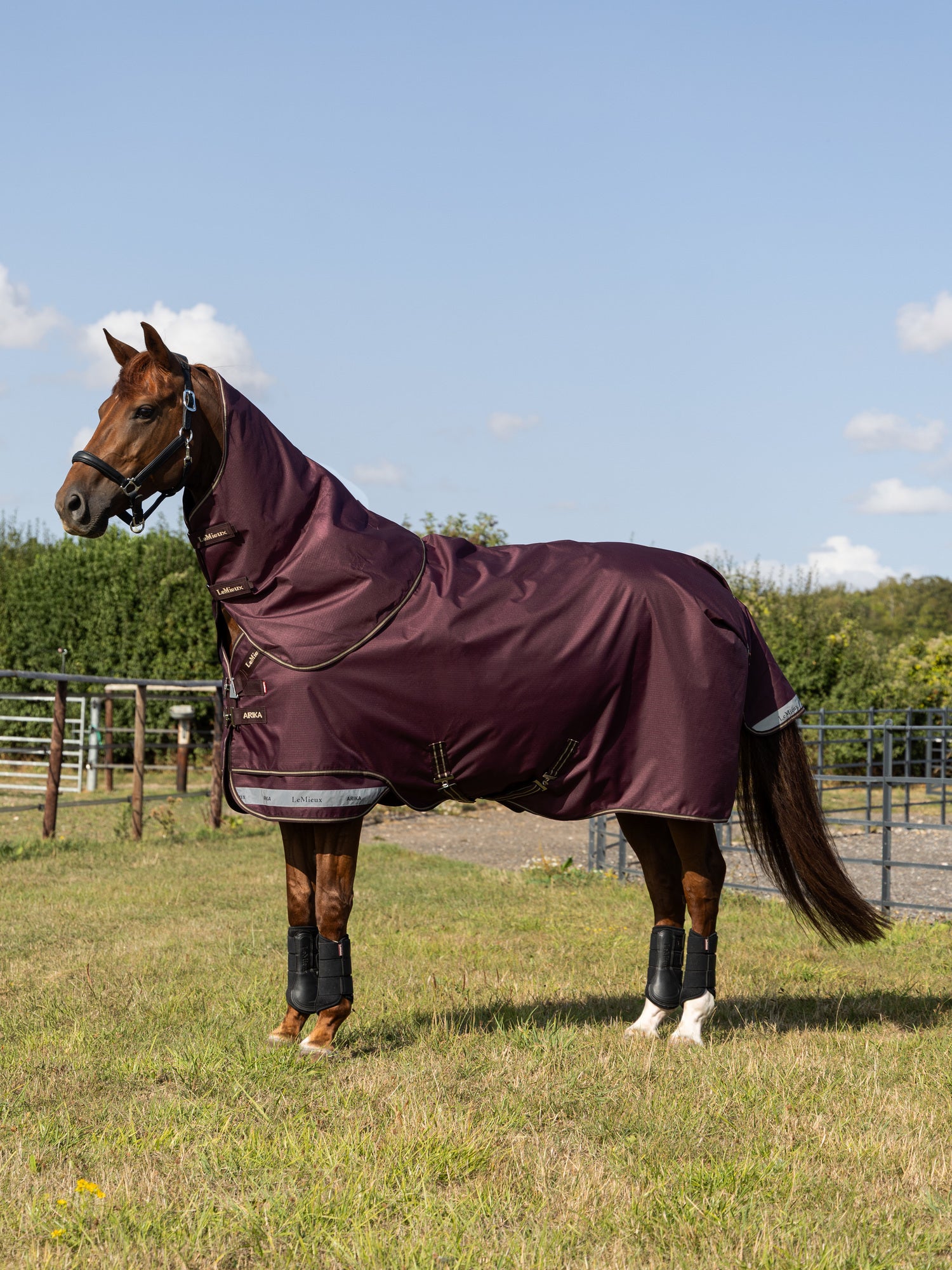 LeMieux Arika Ripstop 0g Turnout Rug