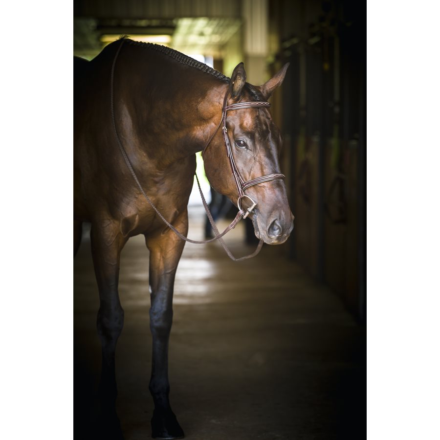 Perri's Professional Hunter Bridle