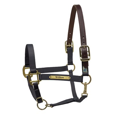 Perri's Premium Nylon Safety Halter with Nameplate