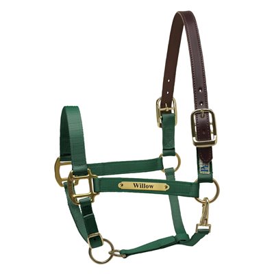 Perri's Premium Nylon Safety Halter with Nameplate