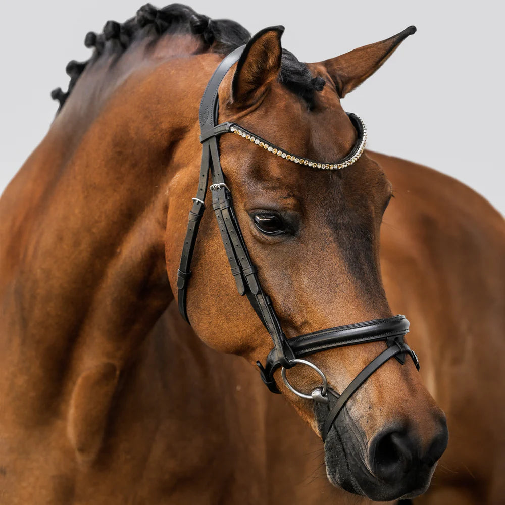 Lumiere Megan Convertible Leather Bridle