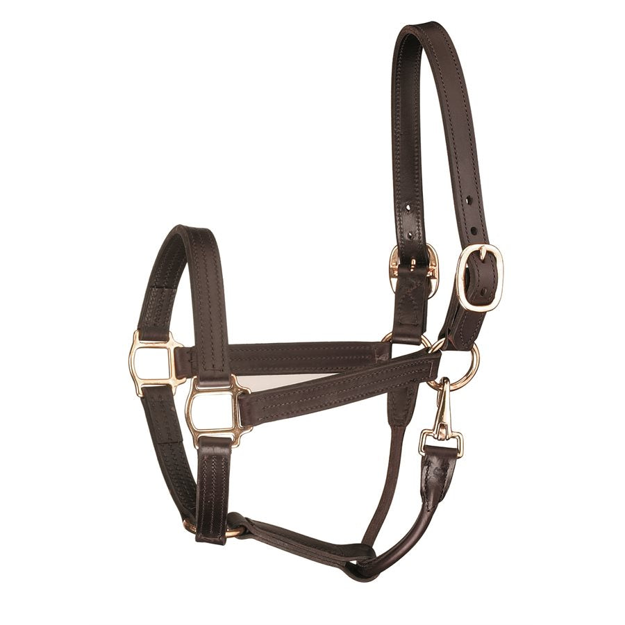 Perri's 1 inch Premium Track Show Halter