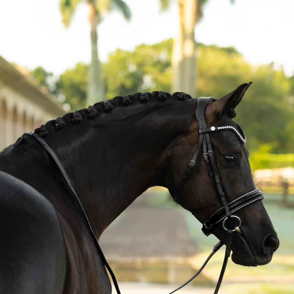 Lumiere Saphira Bridle
