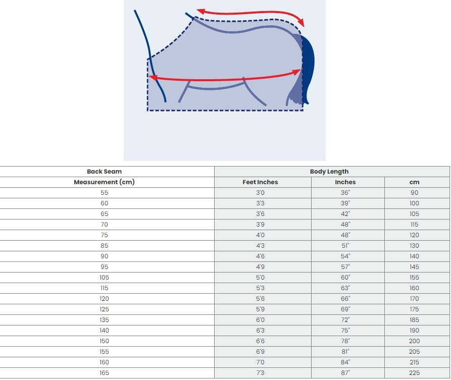 Weatherbeeta ComFiTec Prelim Standard Neck Medium - supporting