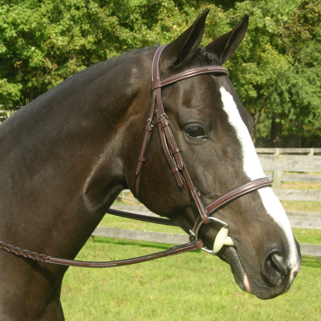 KL Select Red Barn Sovereign Bridle with Fancy Stitching