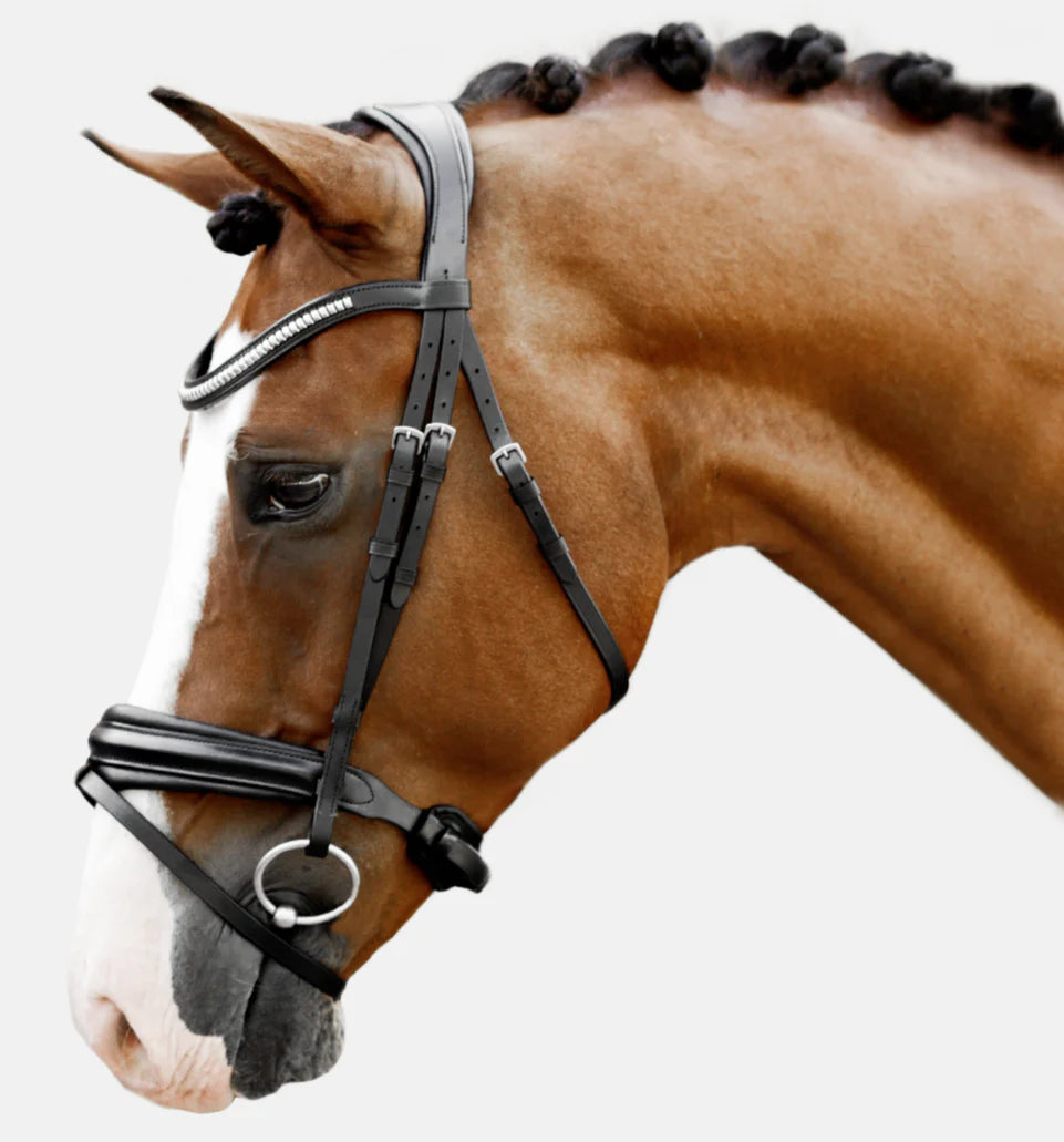 Lumiere Melodie Classic Bridle