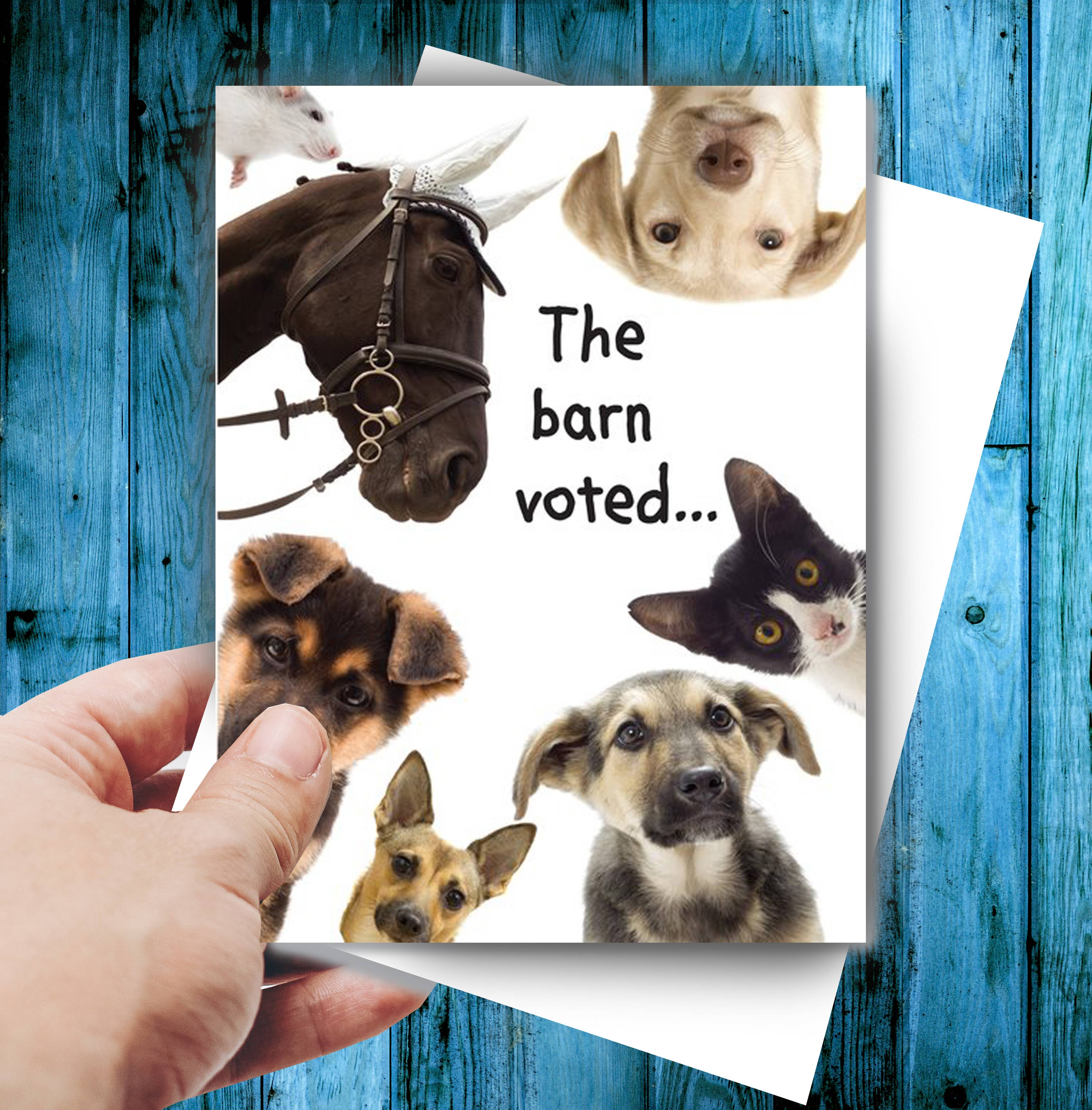 Horse Hollow Press - Horse Greeting Birthday Card