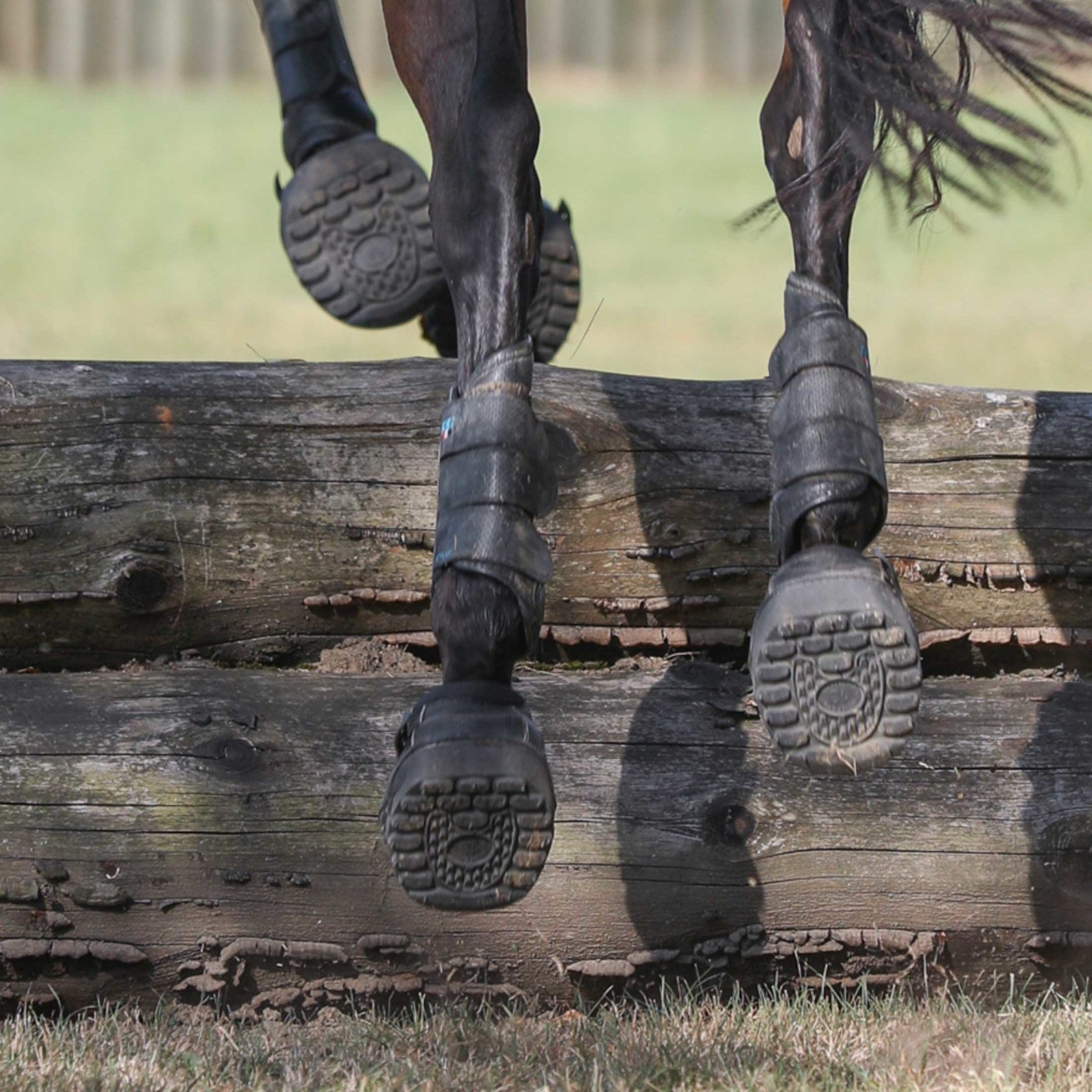 Equine Fusion Active Jogging Shoe Pair