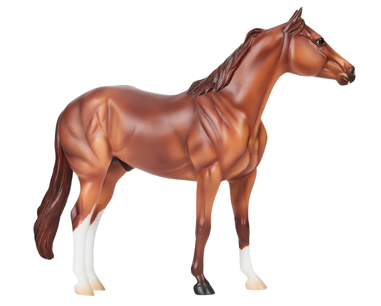Breyer Apollitico Jess
