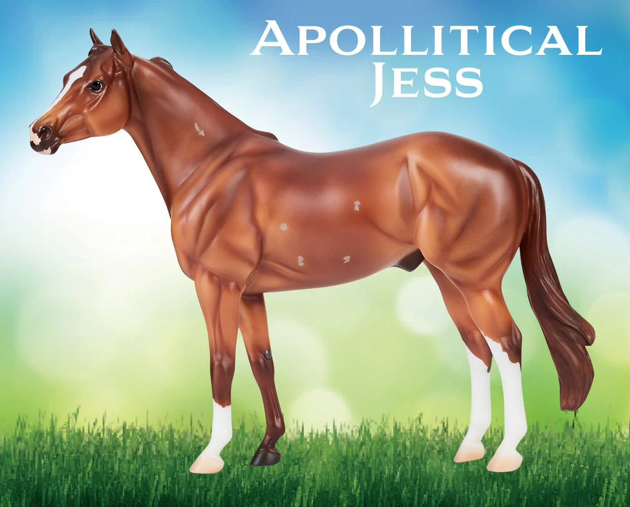 Breyer Apollitico Jess