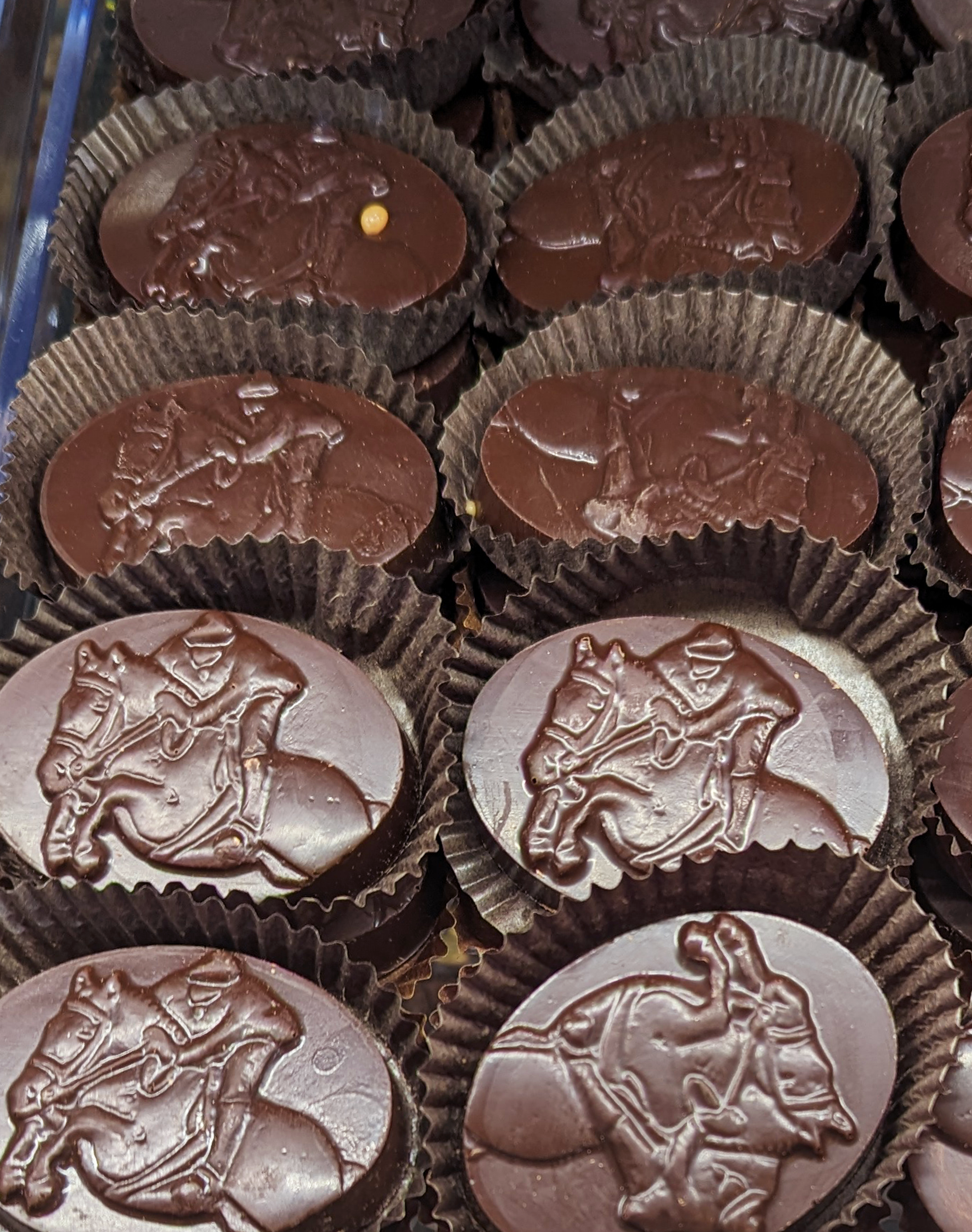 Dark Horse Chocolates 16 Pcs Rich Dark Assortment