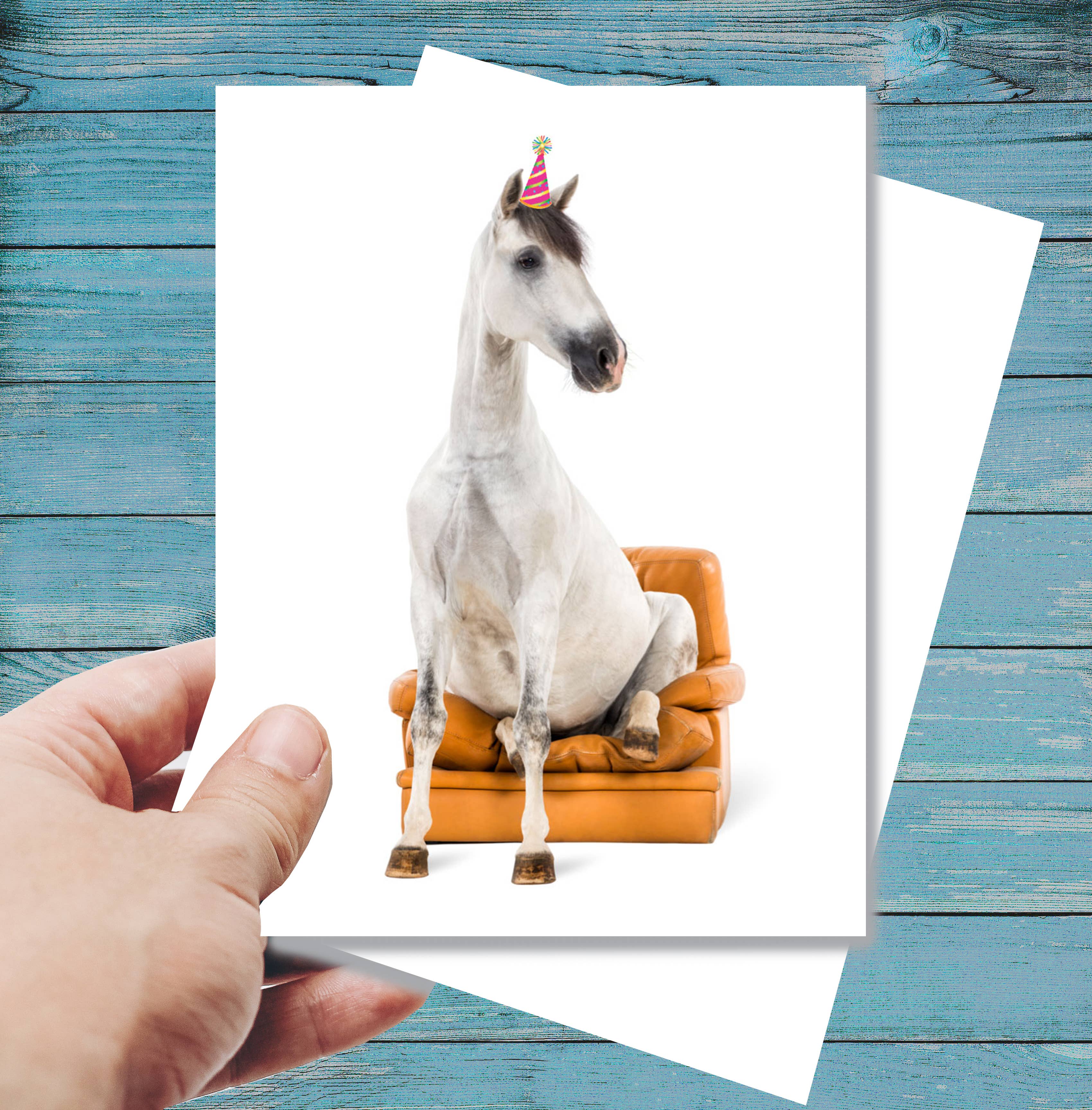 Horse Hollow Press - Horse Greeting Birthday Card