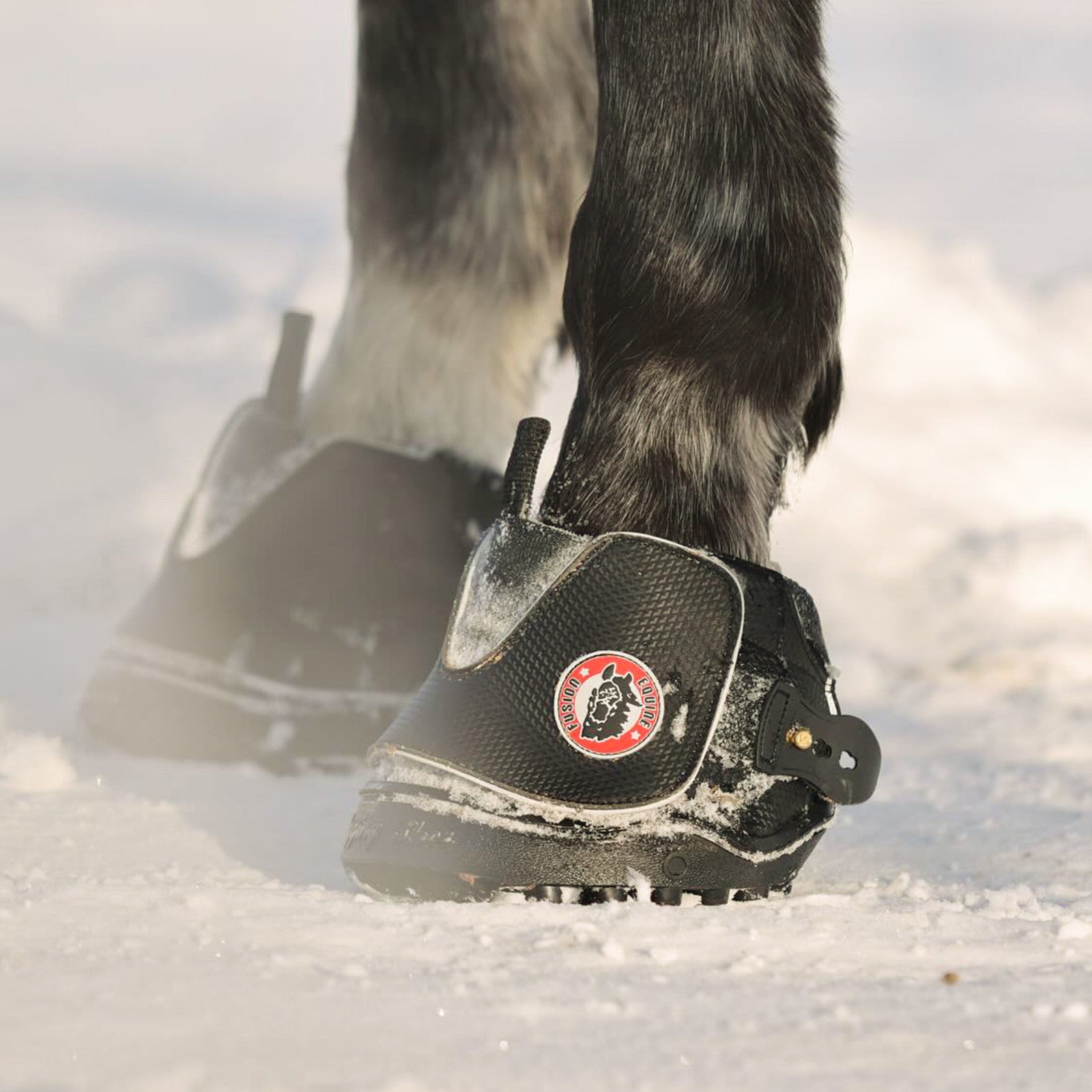 Equine Fusion Active Jogging Shoe Pair