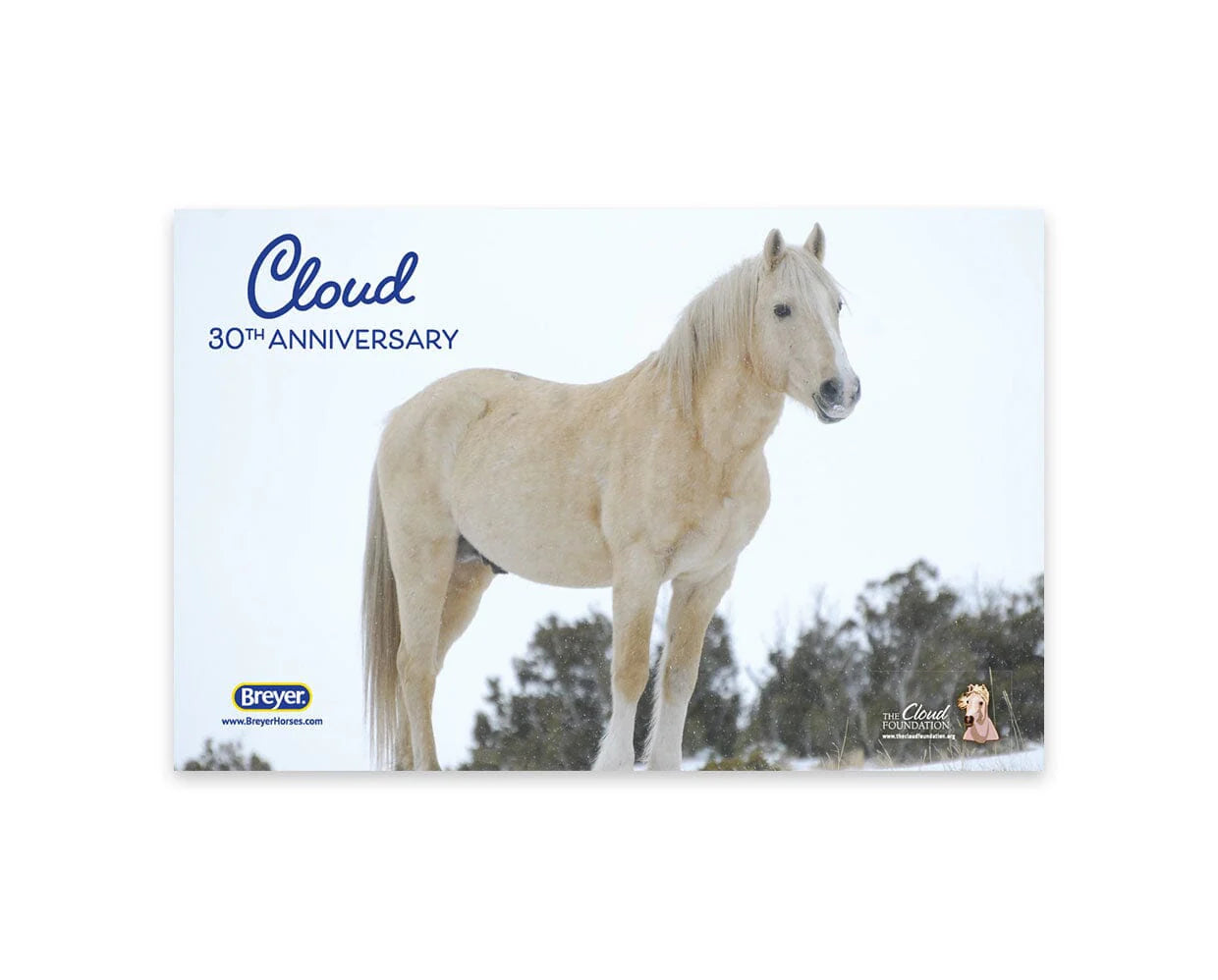 Breyer Cloud | 30th Anniversary Edition