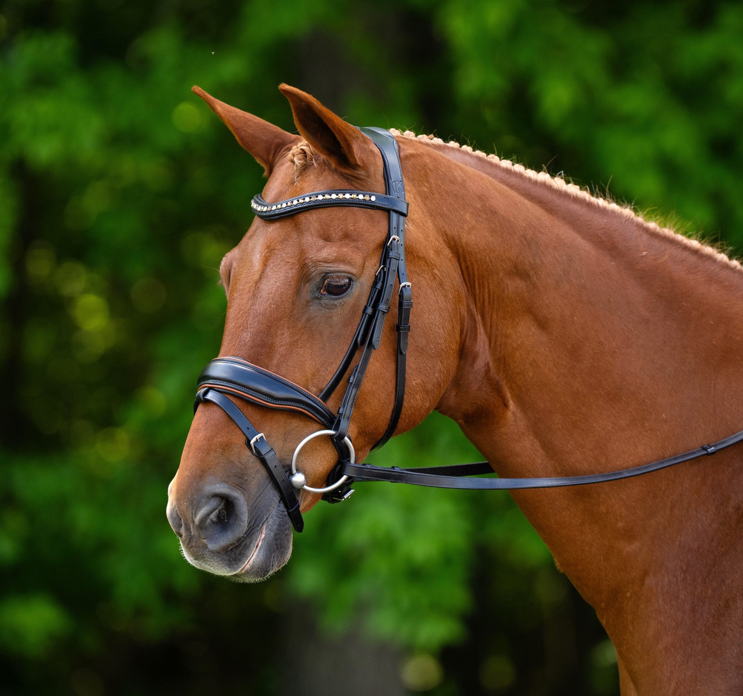 KL Select Elite Dressage Bridle