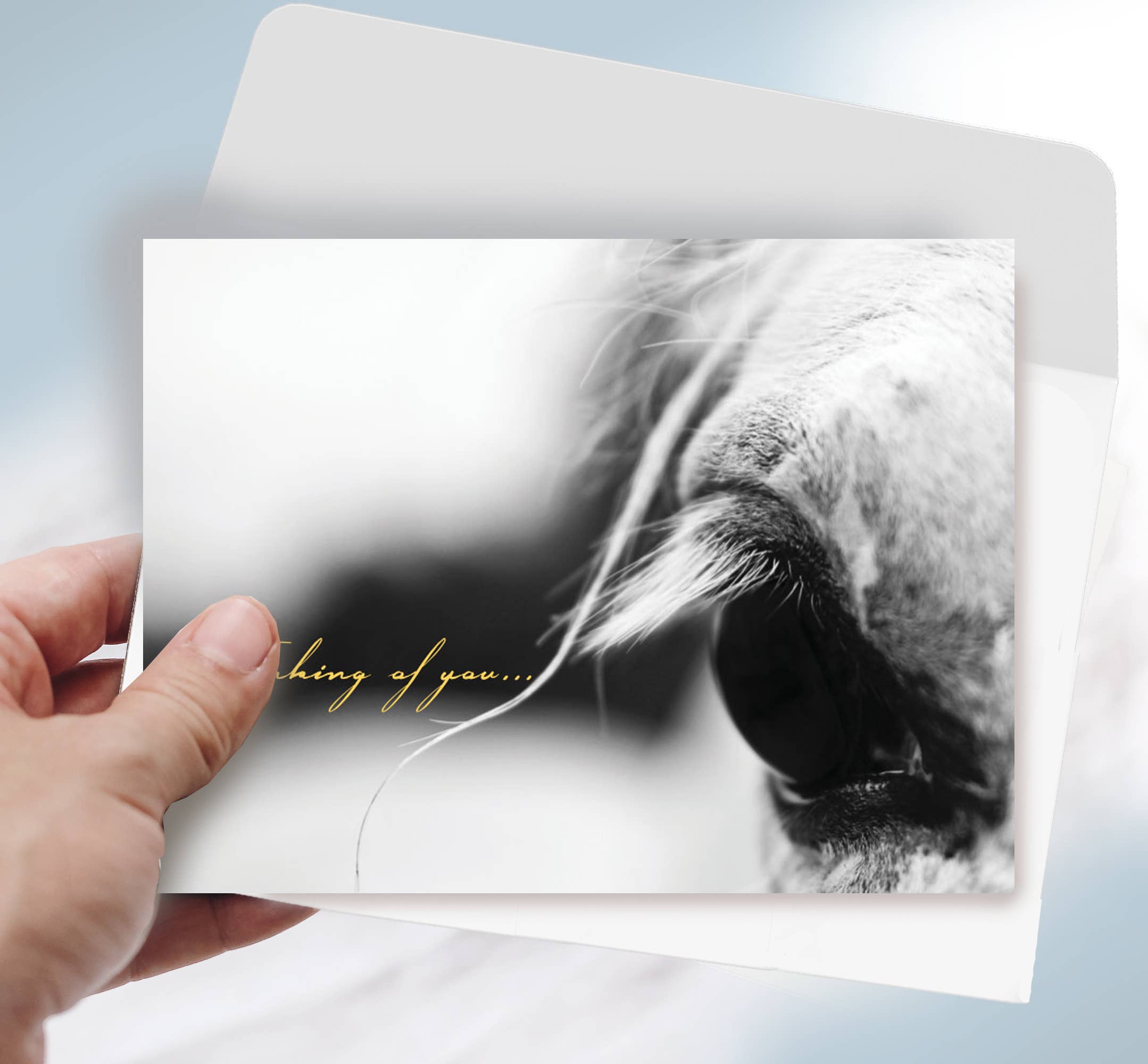 Horse Sympathy Greeting Card / Thinking of You