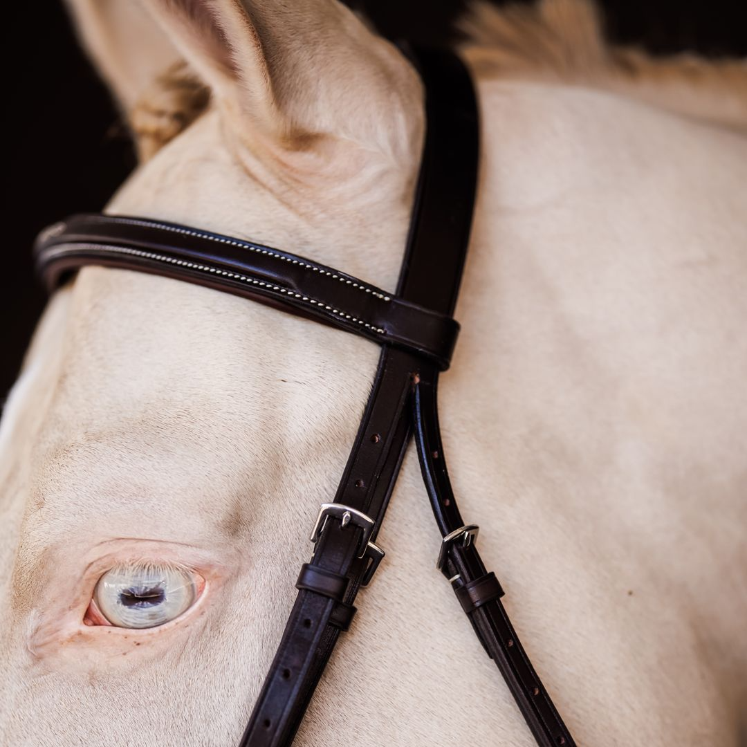 Shires Fancy Square Raised Padded Bridle with Laced Reins