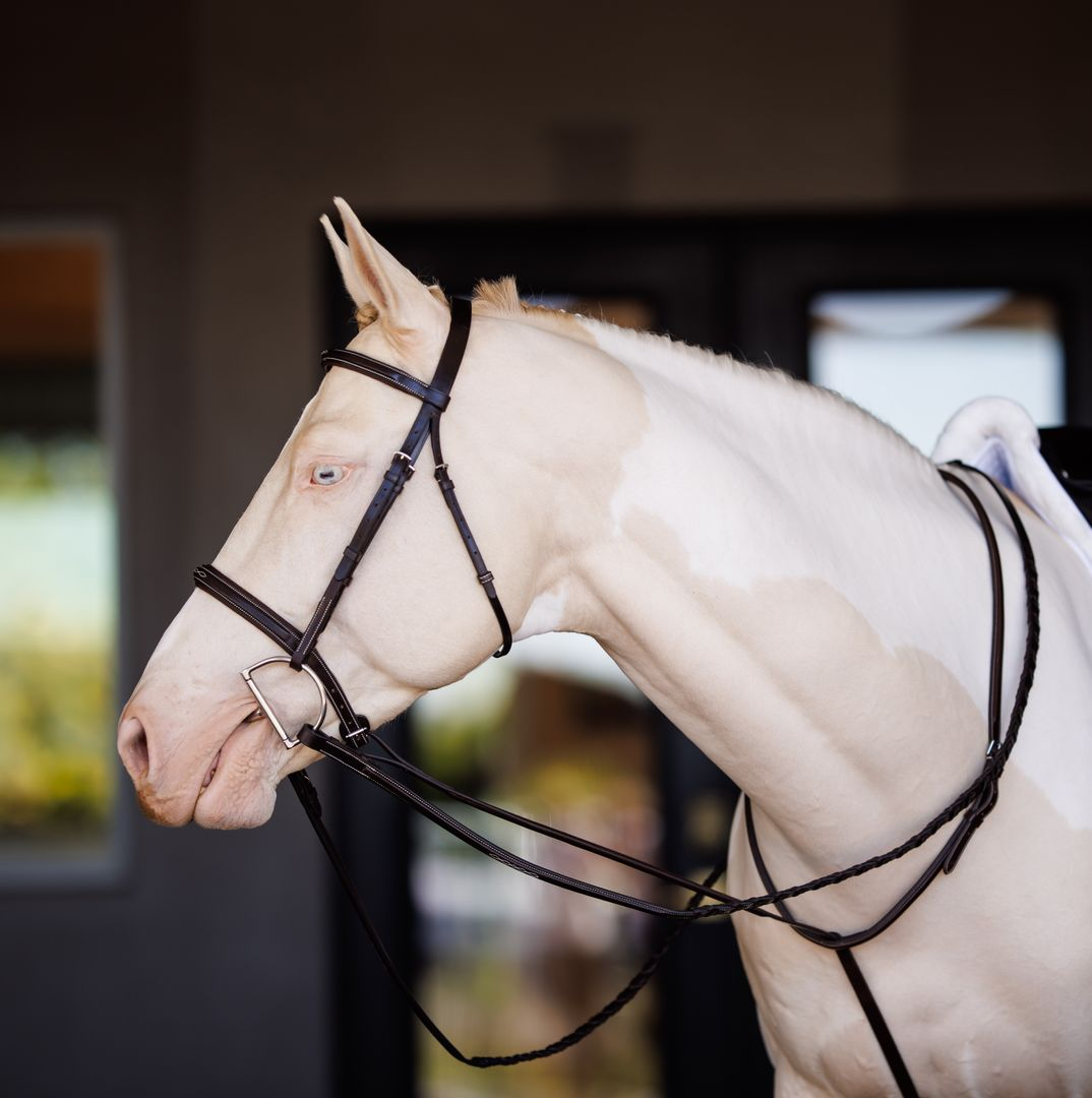 Shires Fancy Square Raised Padded Bridle with Laced Reins