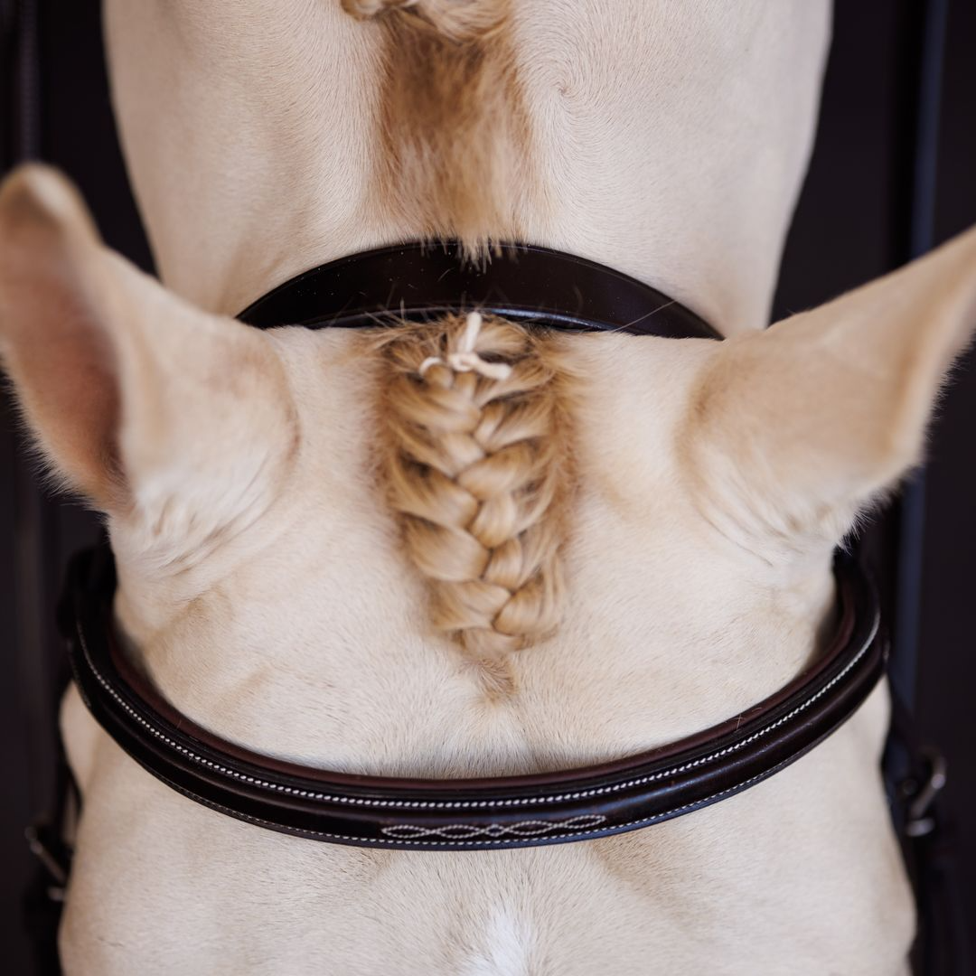 Shires Fancy Square Raised Padded Bridle with Laced Reins