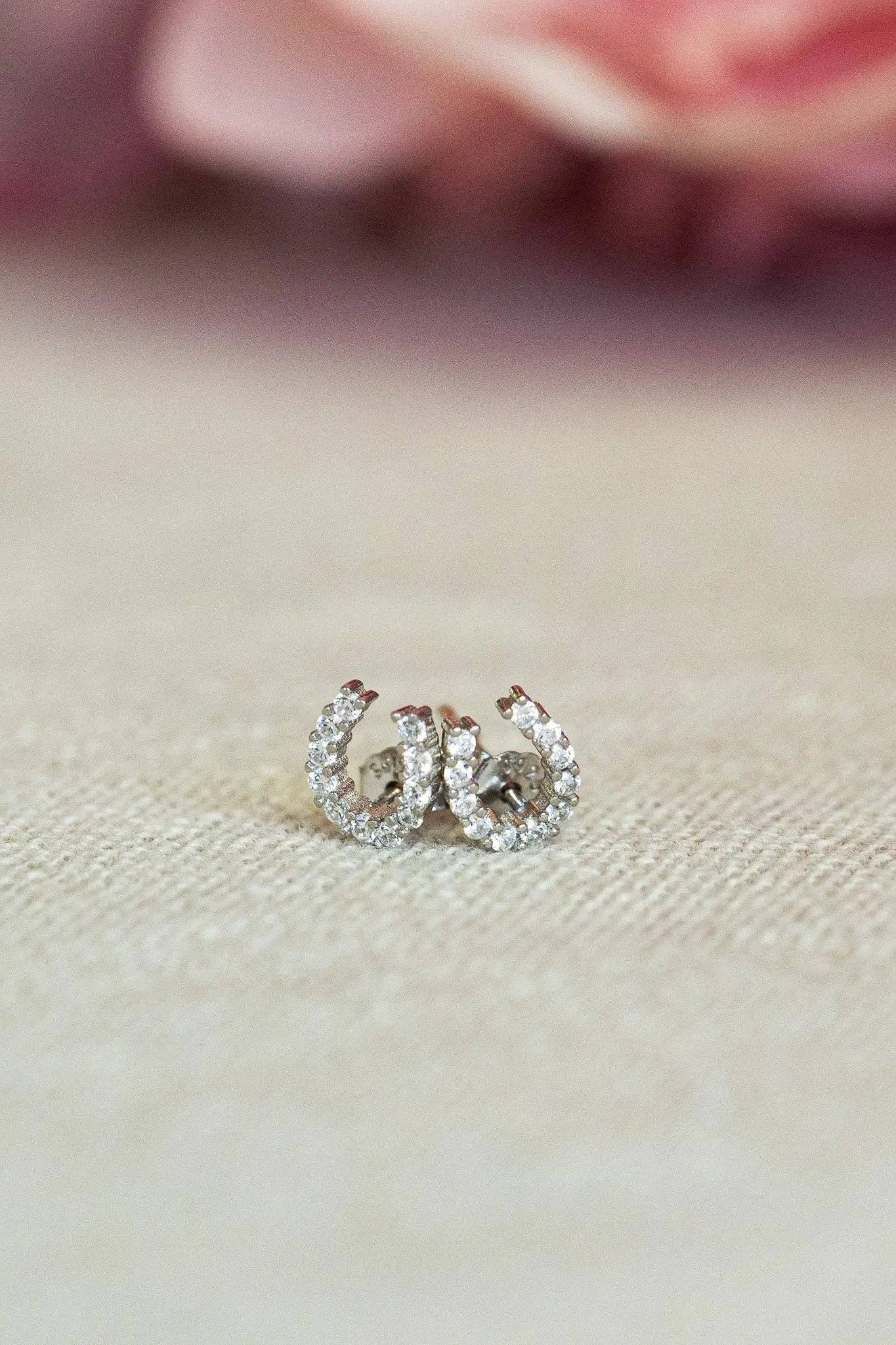 Bridle Up Hope Shop - Luxe Horseshoe Earrings