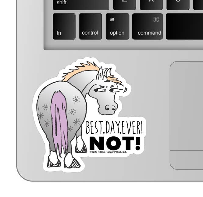 3" Tumbler Horse Sticker / Best Day Ever NOT / WATERPROOF
