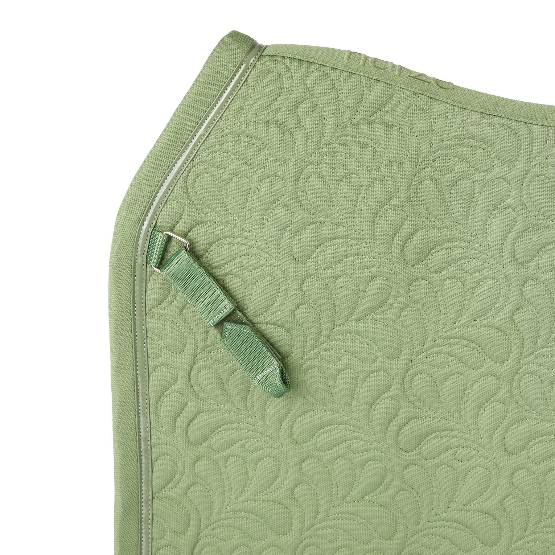 #color_Celadon Green