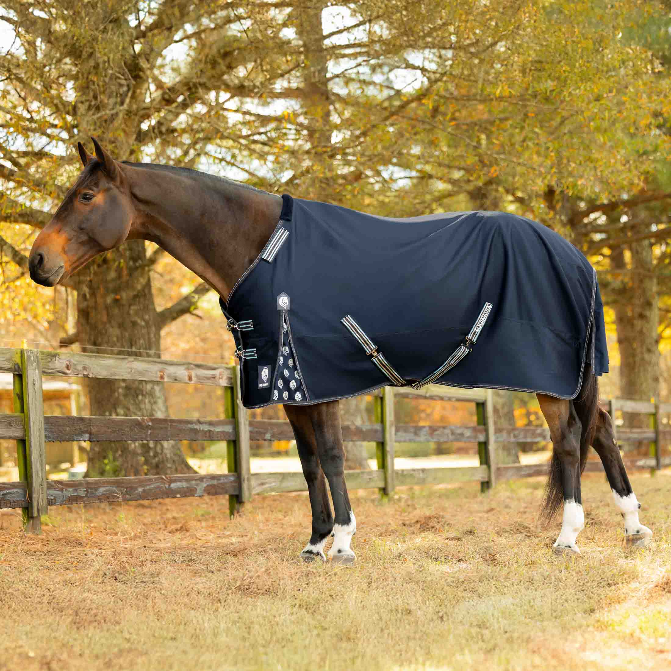 Equinavia Arktis Regular Neck Heavy Weight Turnout Blanket 300g