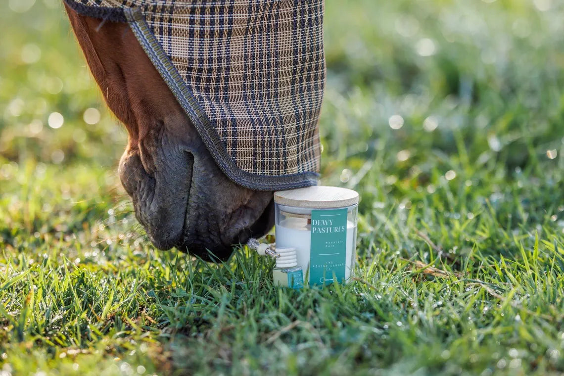 The Equine Candle Co Dewy Pastures Candle
