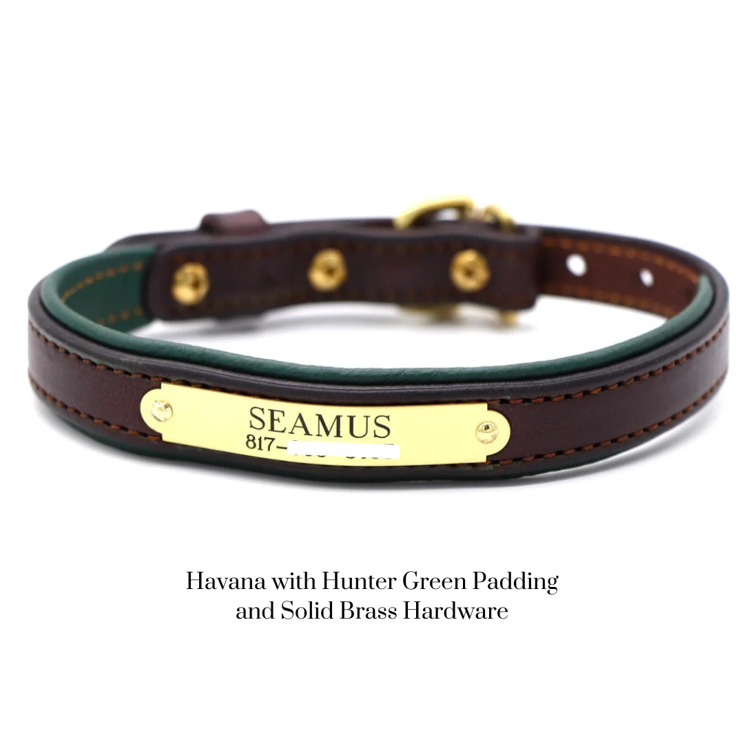 Custom Padded Dog Collar