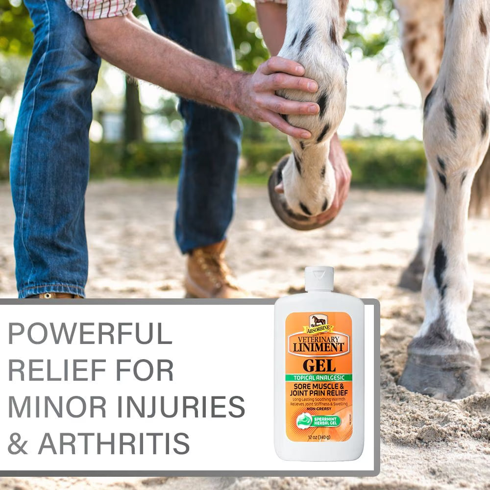 Absorbine Veterinary Liniment Horse Pain Gel