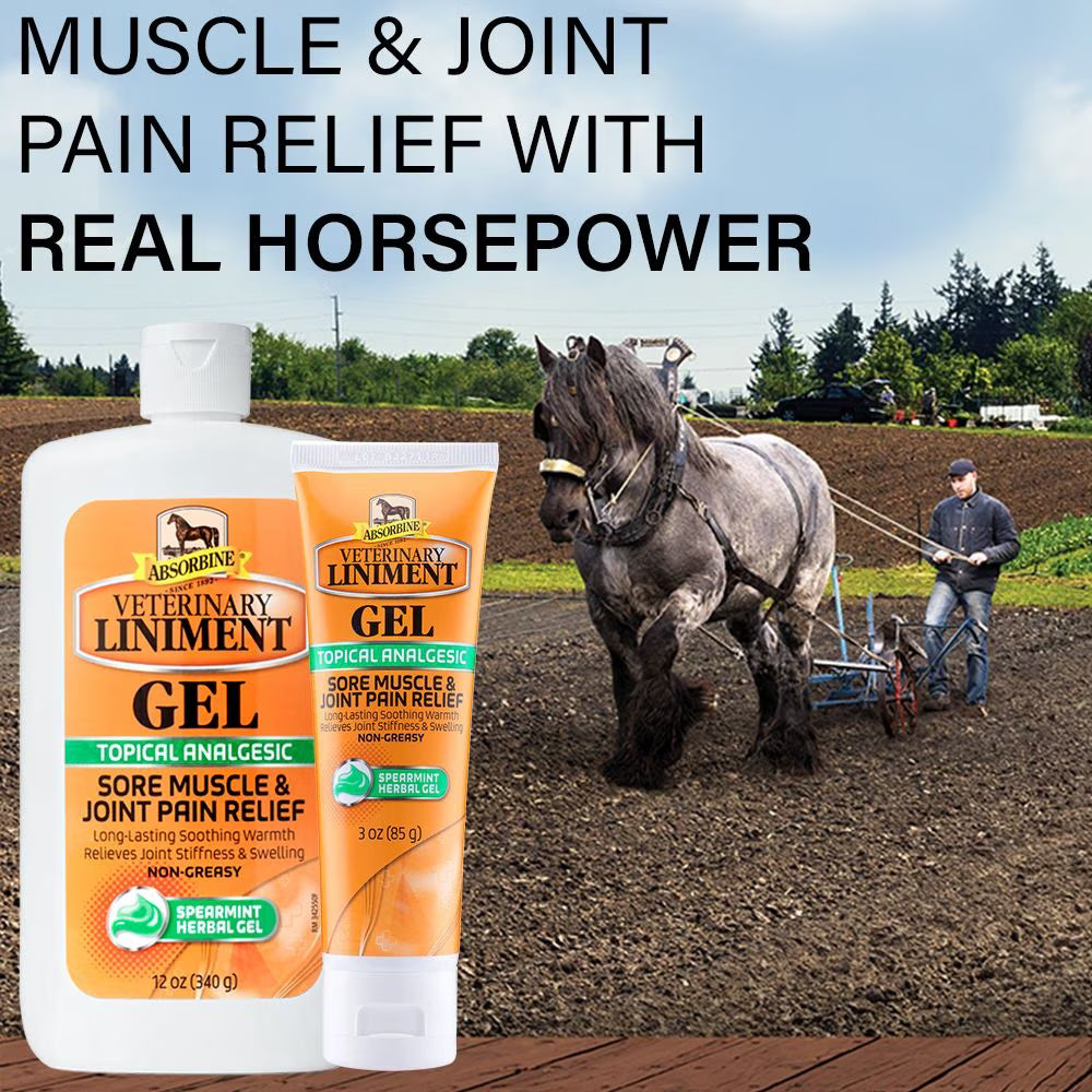 Absorbine Veterinary Liniment Horse Pain Gel