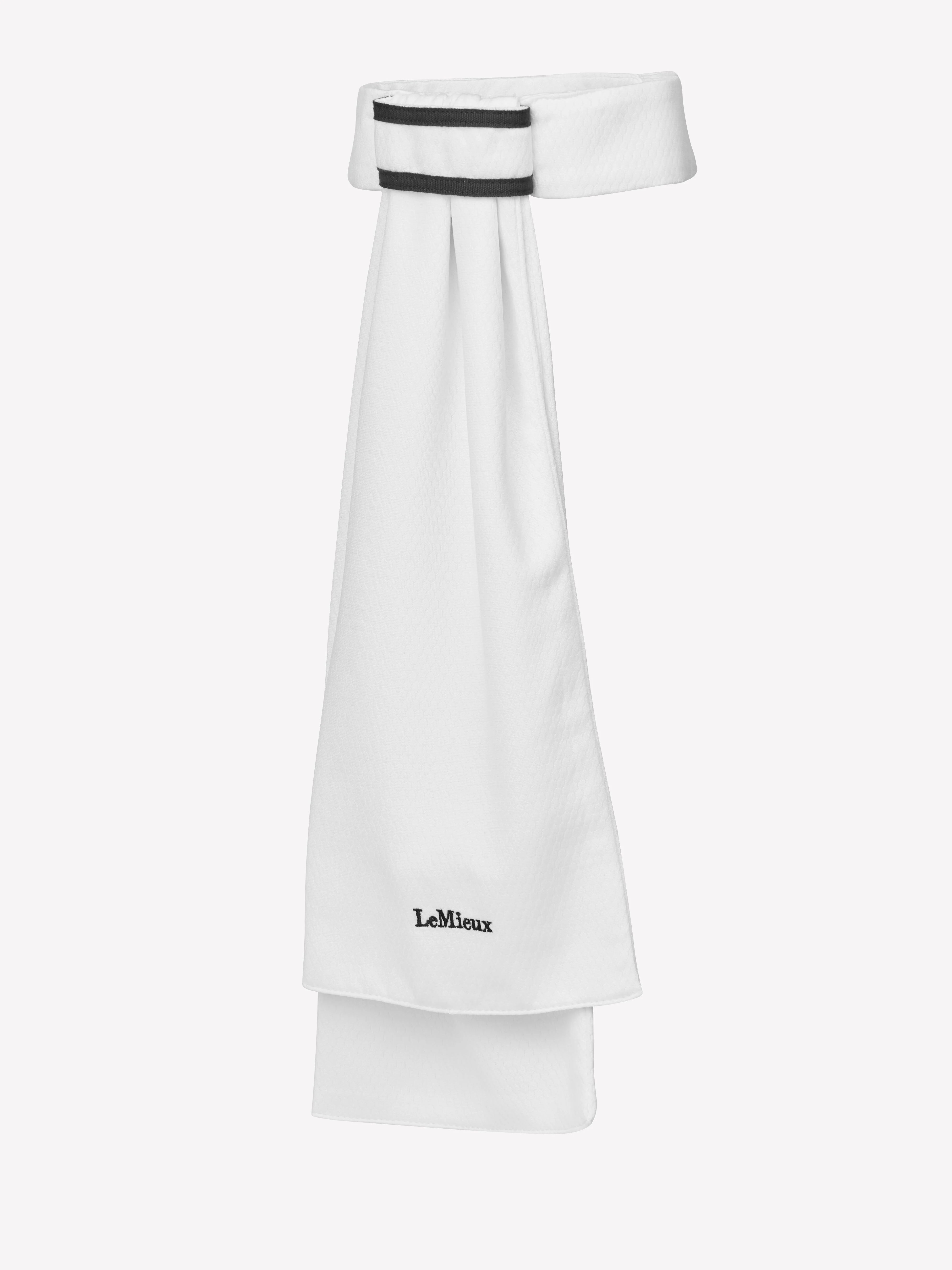 LeMieux Sporty Stock Tie
