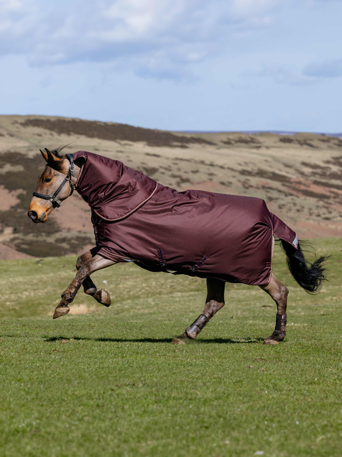 LeMieux Arika Ripstop 200g Turnout Rug