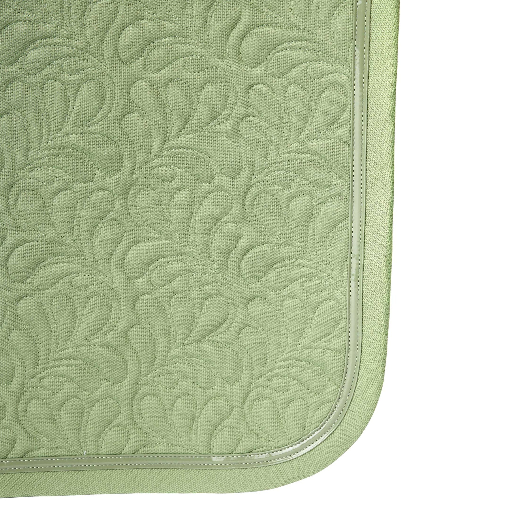 #color_Celadon Green