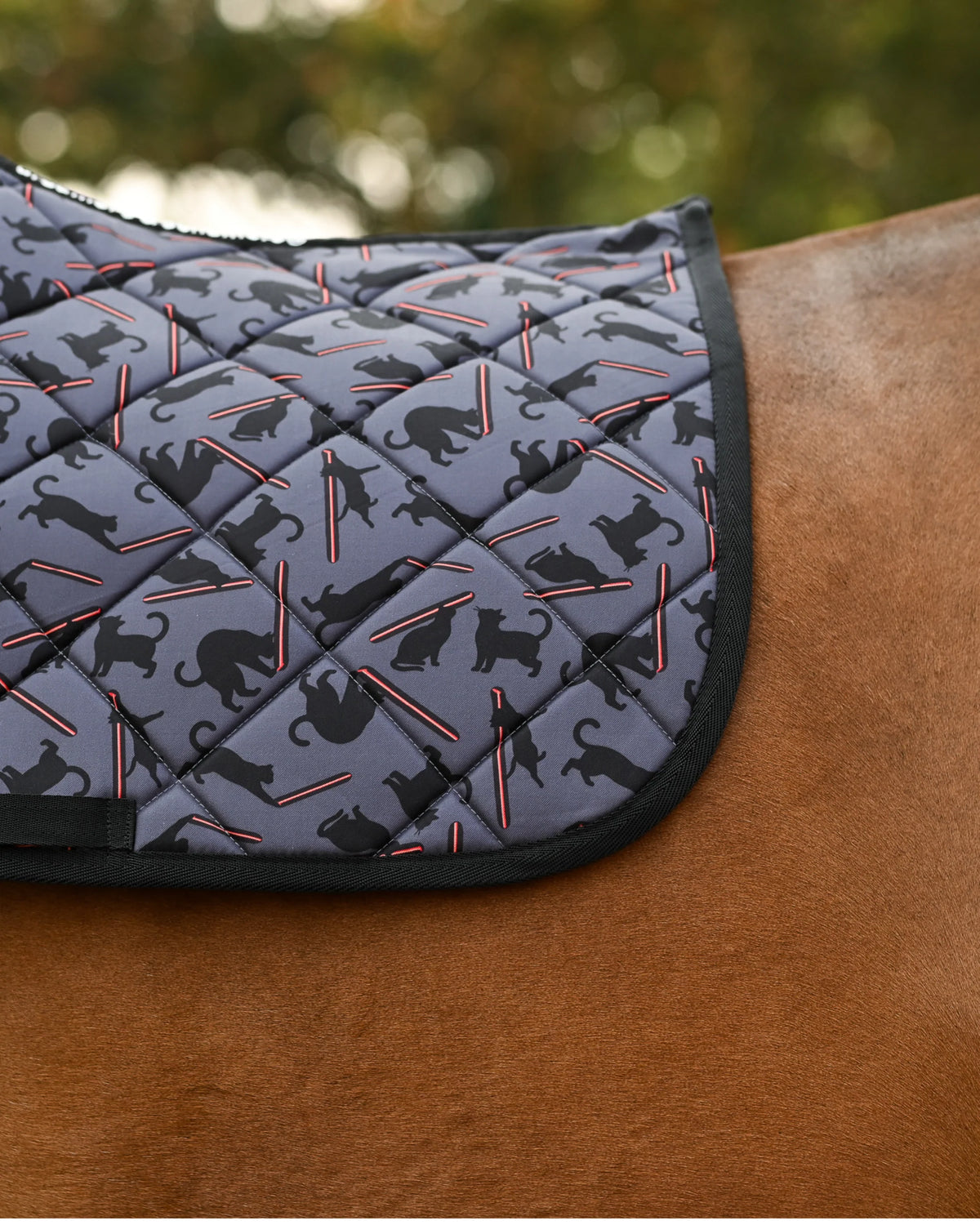 Dreamers & Schemers All Purpose Saddle Pad - Laser Cats