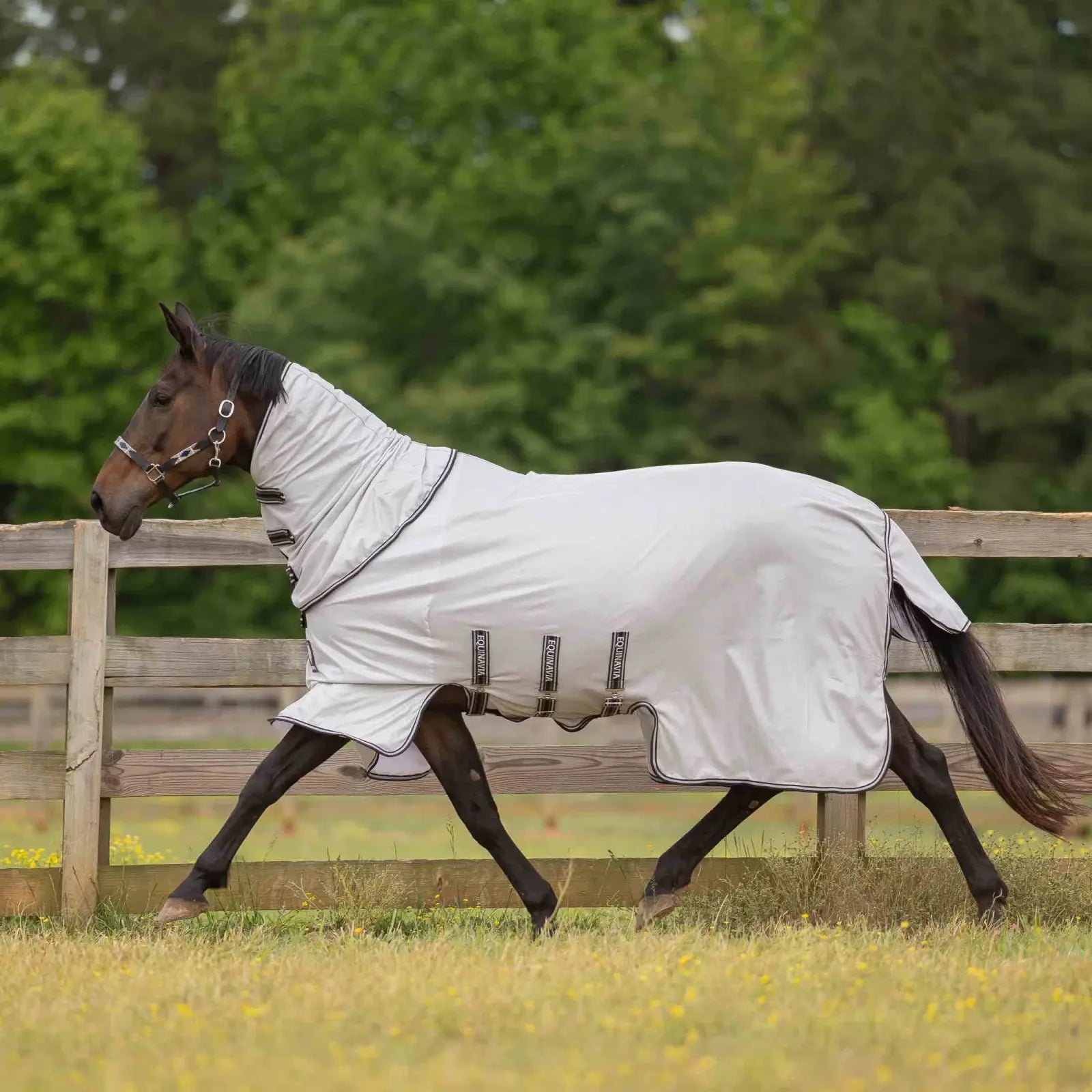 Equinavia Vern Full Protect Fly Sheet