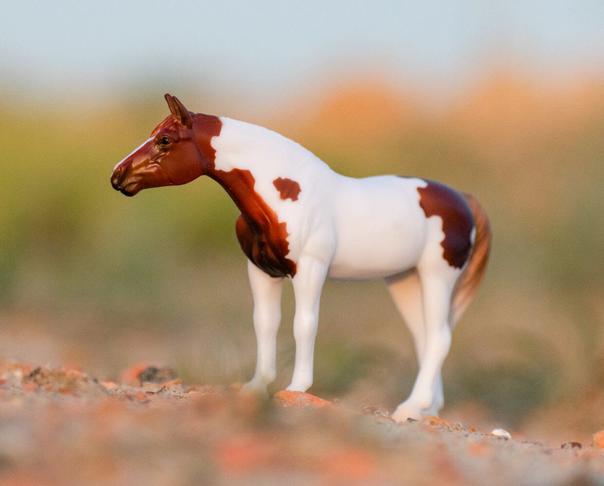 Breyer Mystery Horse Surprise: Exquisite Equines - Series 4