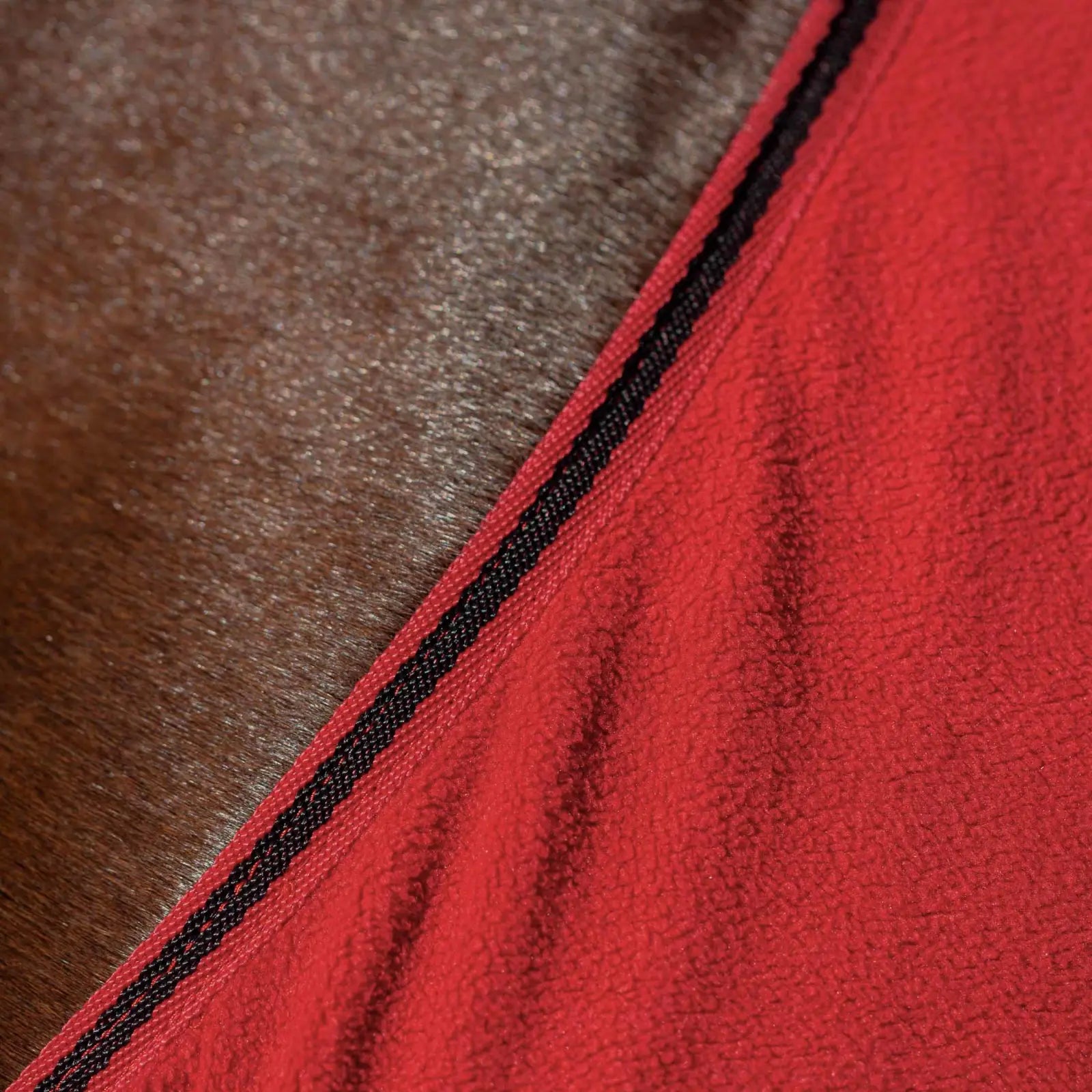 Sale Equinavia Norse Fleece Cooler