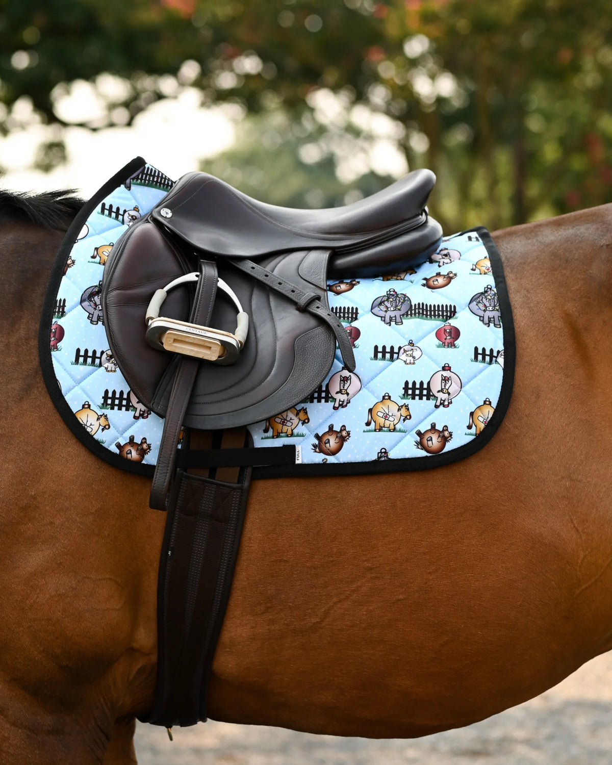 Dreamers & Schemers All Purpose Saddle Pad - Pasture Ornaments