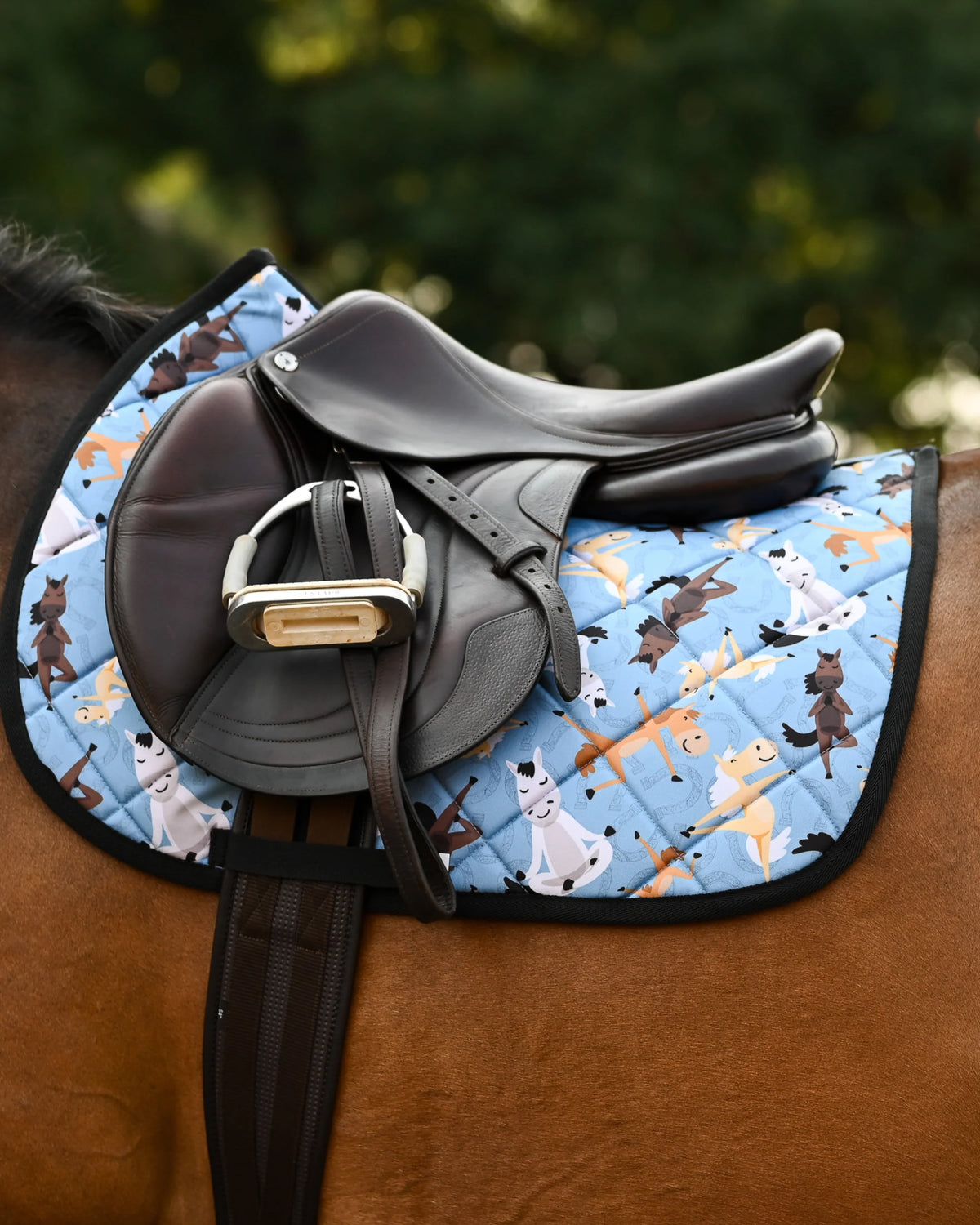 Dreamers & Schemers All Purpose Saddle Pad - Pony Pilates