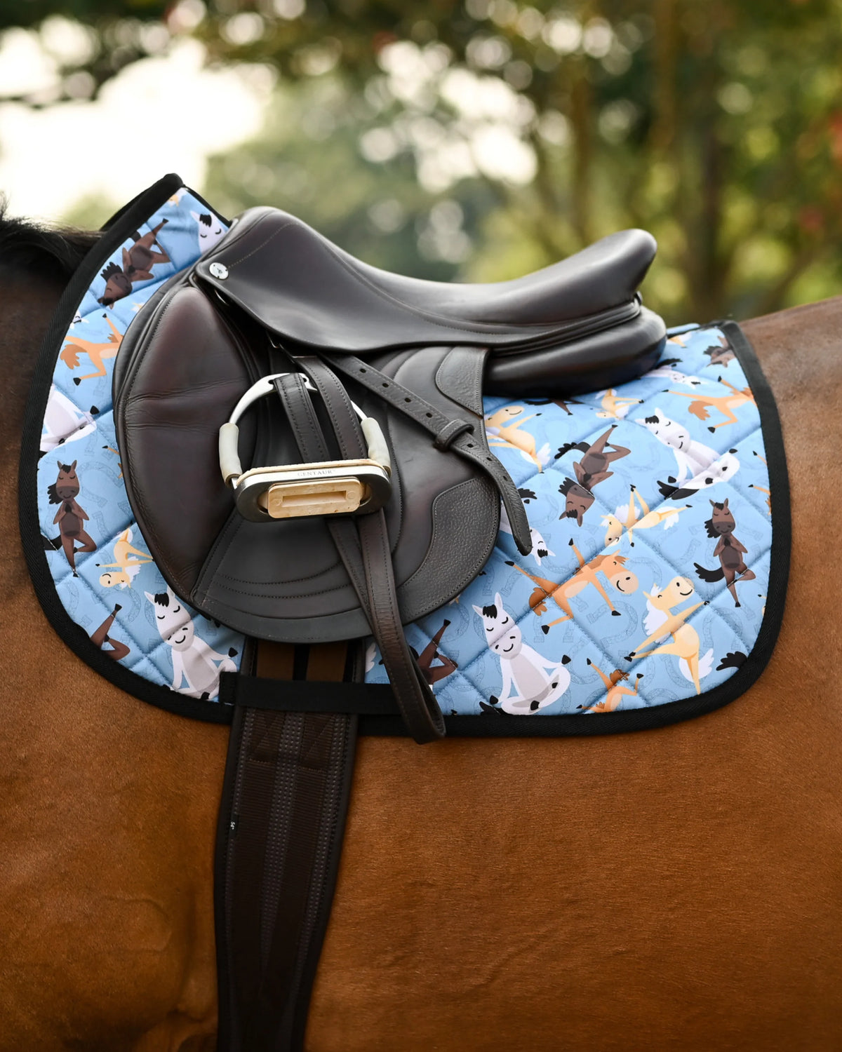 Dreamers & Schemers All Purpose Saddle Pad - Pony Pilates