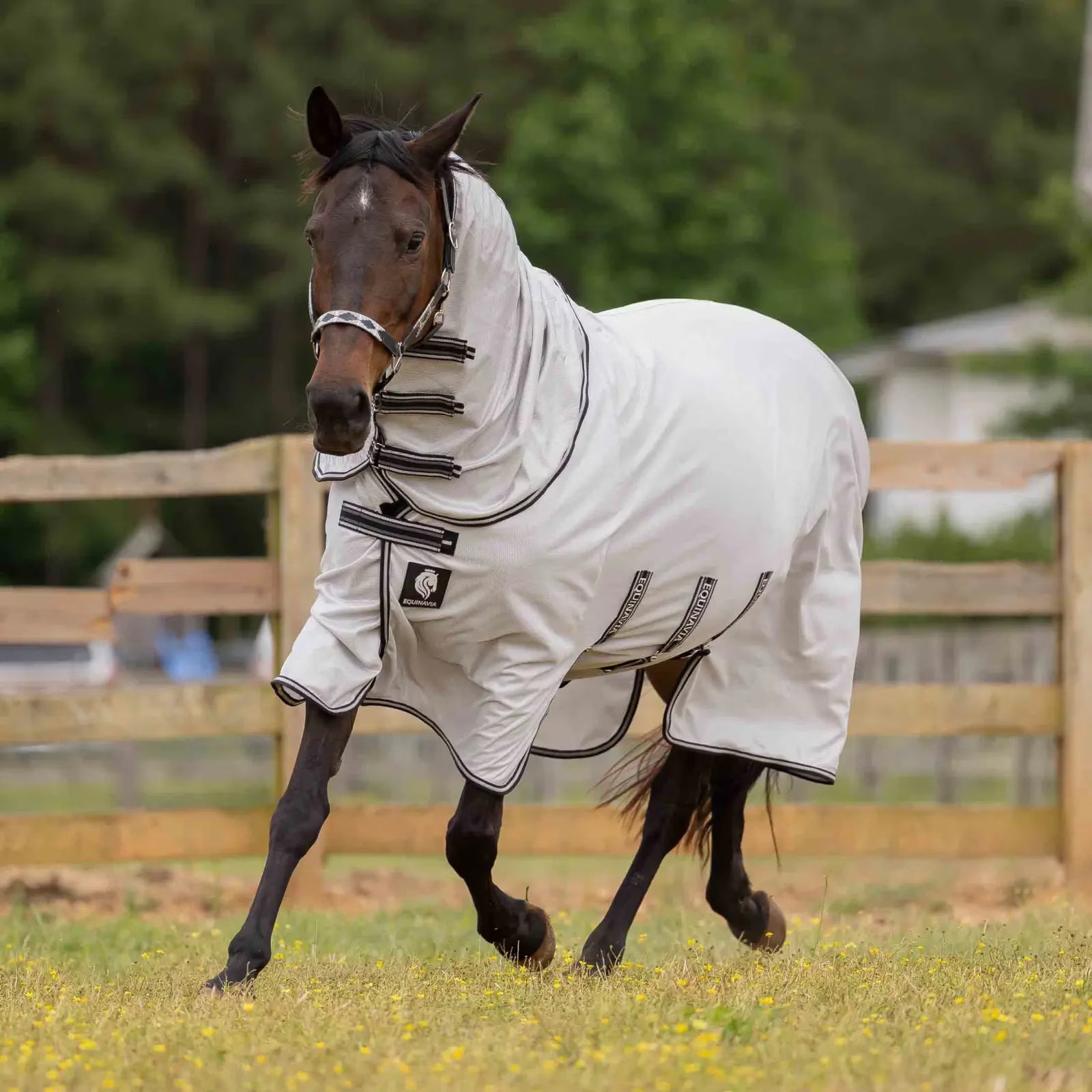 Equinavia Vern Full Protect Fly Sheet