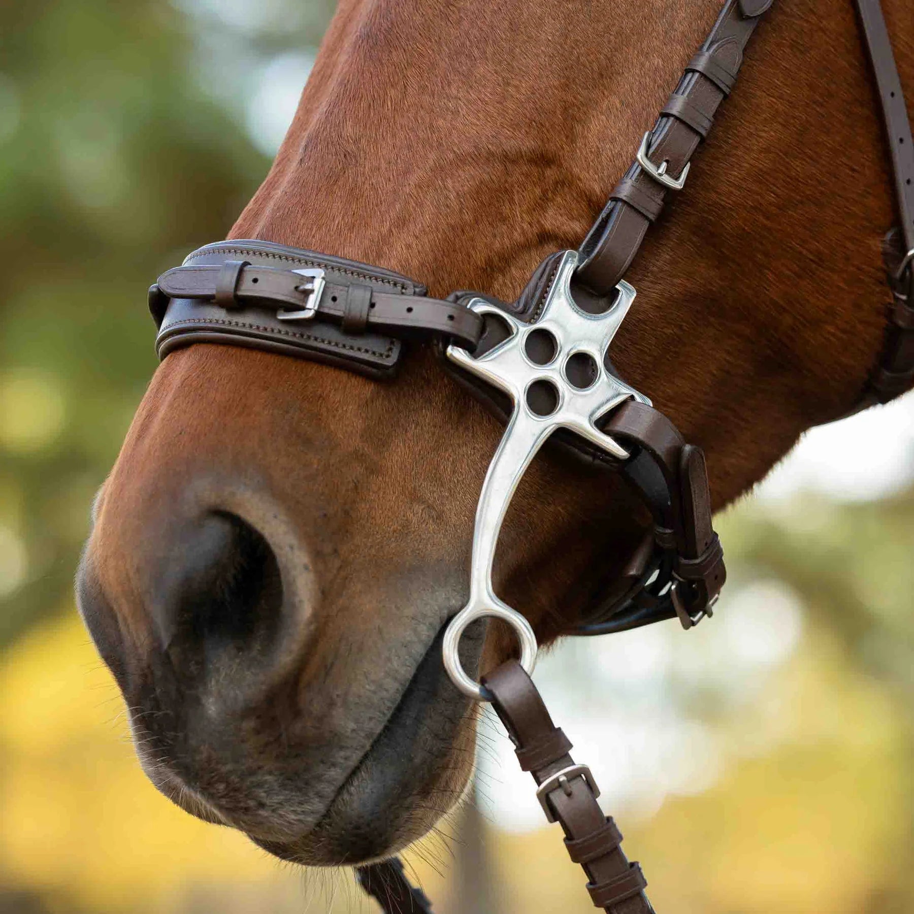 Equinavia Saga Hackamore Bridle with Rubber Reins