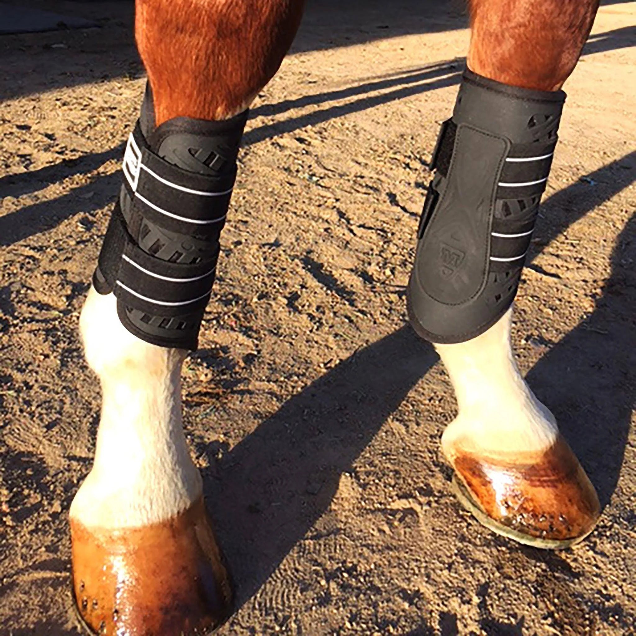 Majyk Equipe Sport/Dressage Boot