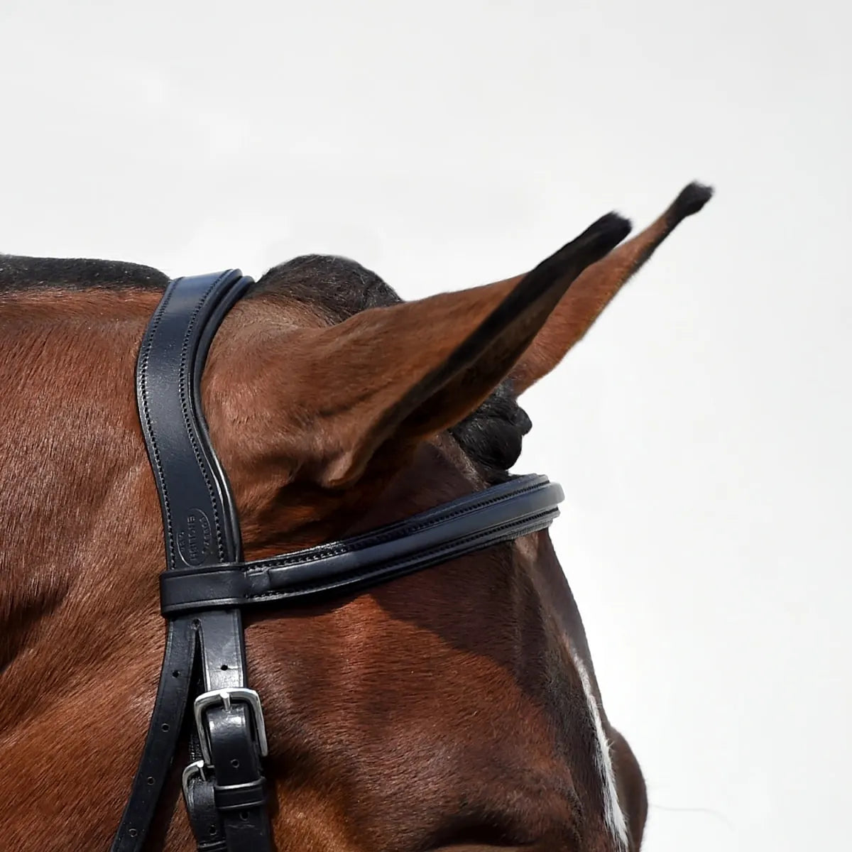 Bobby's Signature Series Square Raised Padded Monocrown Dressage Bridle with Flash