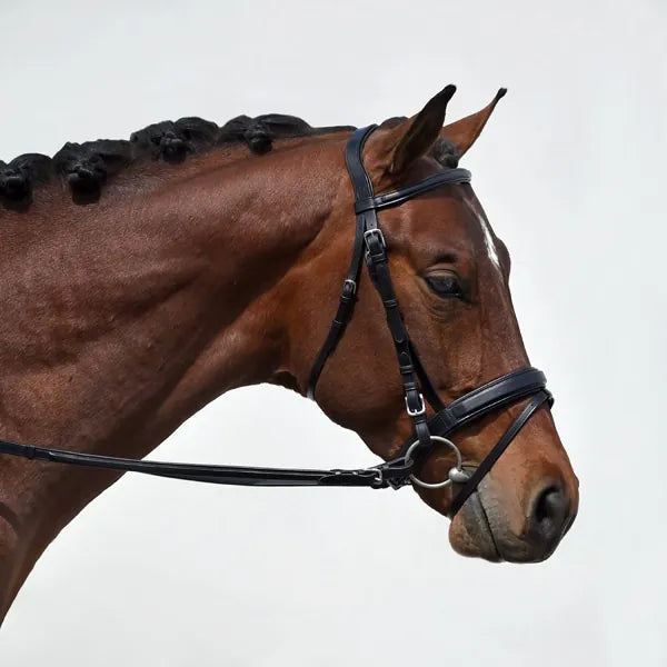Bobby's Signature Series Square Raised Padded Monocrown Dressage Bridle with Flash