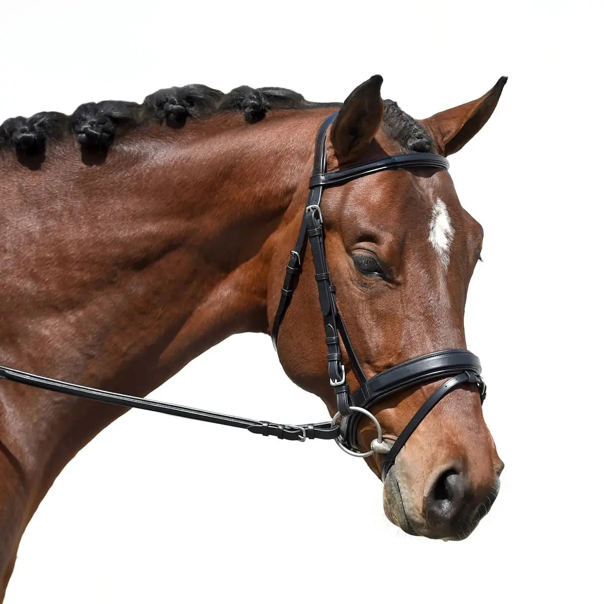 Bobby's Signature Series Square Raised Padded Monocrown Dressage Bridle with Flash